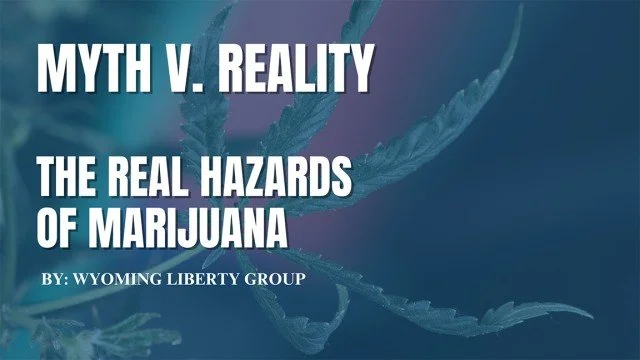 Myth v. Reality - The Real Hazards Of Marijuana - Friday, 09 February 2024