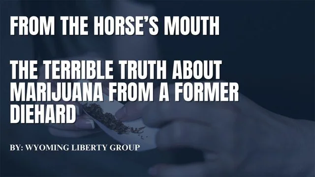 From The Horse’s Mouth - The Terrible Truth About Marijuana From A Former Diehard - Monday, 17 June 2024