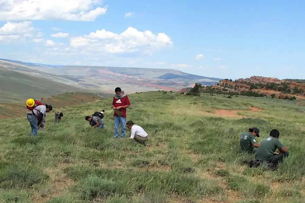 Unconstitutional ‘data-trespass’ laws set for repeal - May 26, 2022 