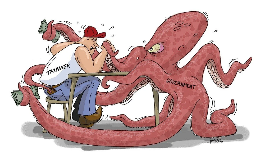 “Taxpayers v. Government”