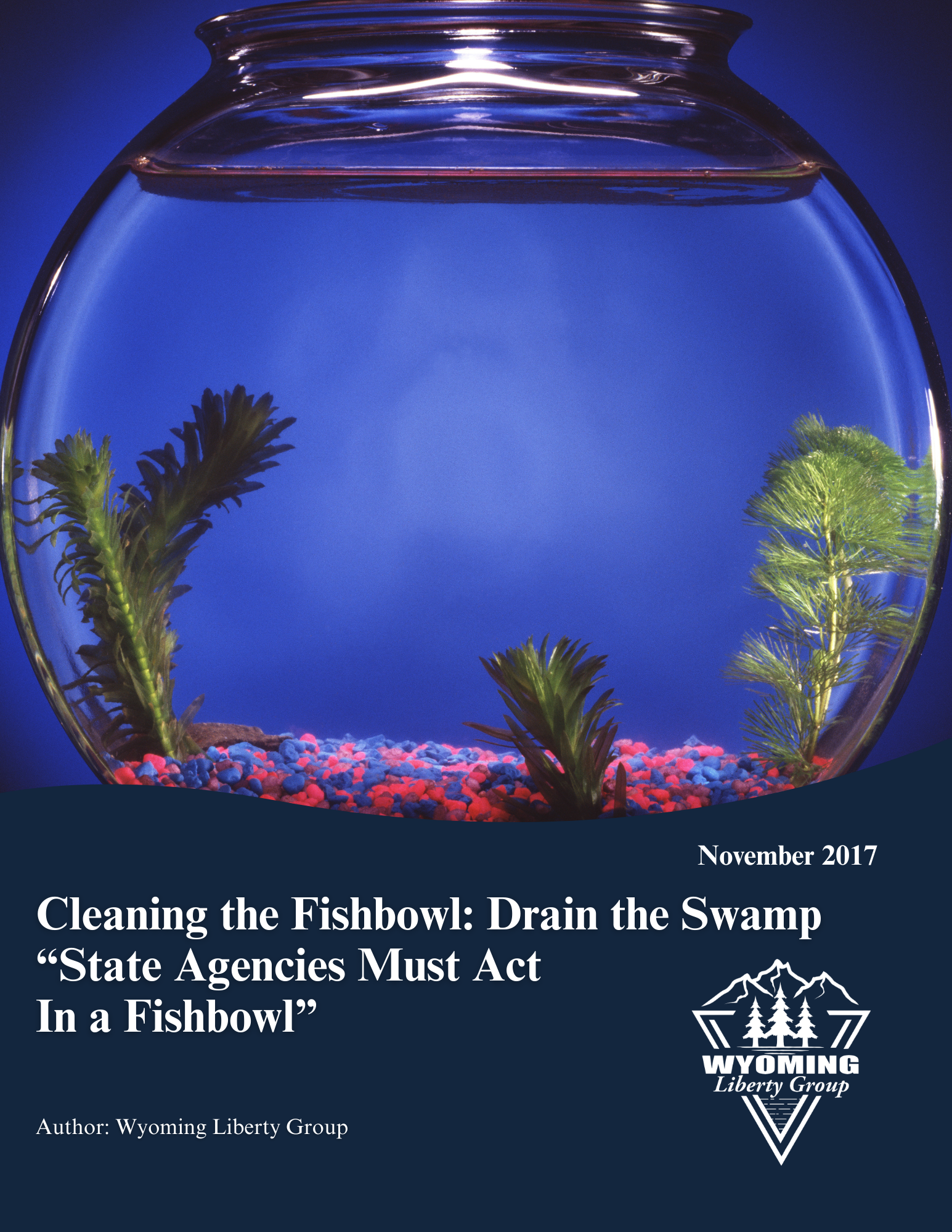 Cleaning the Fishbowl DRAIN THE SWAMP / “STATE AGENCIES MUST ACT IN A FISHBOWL” - November 2017