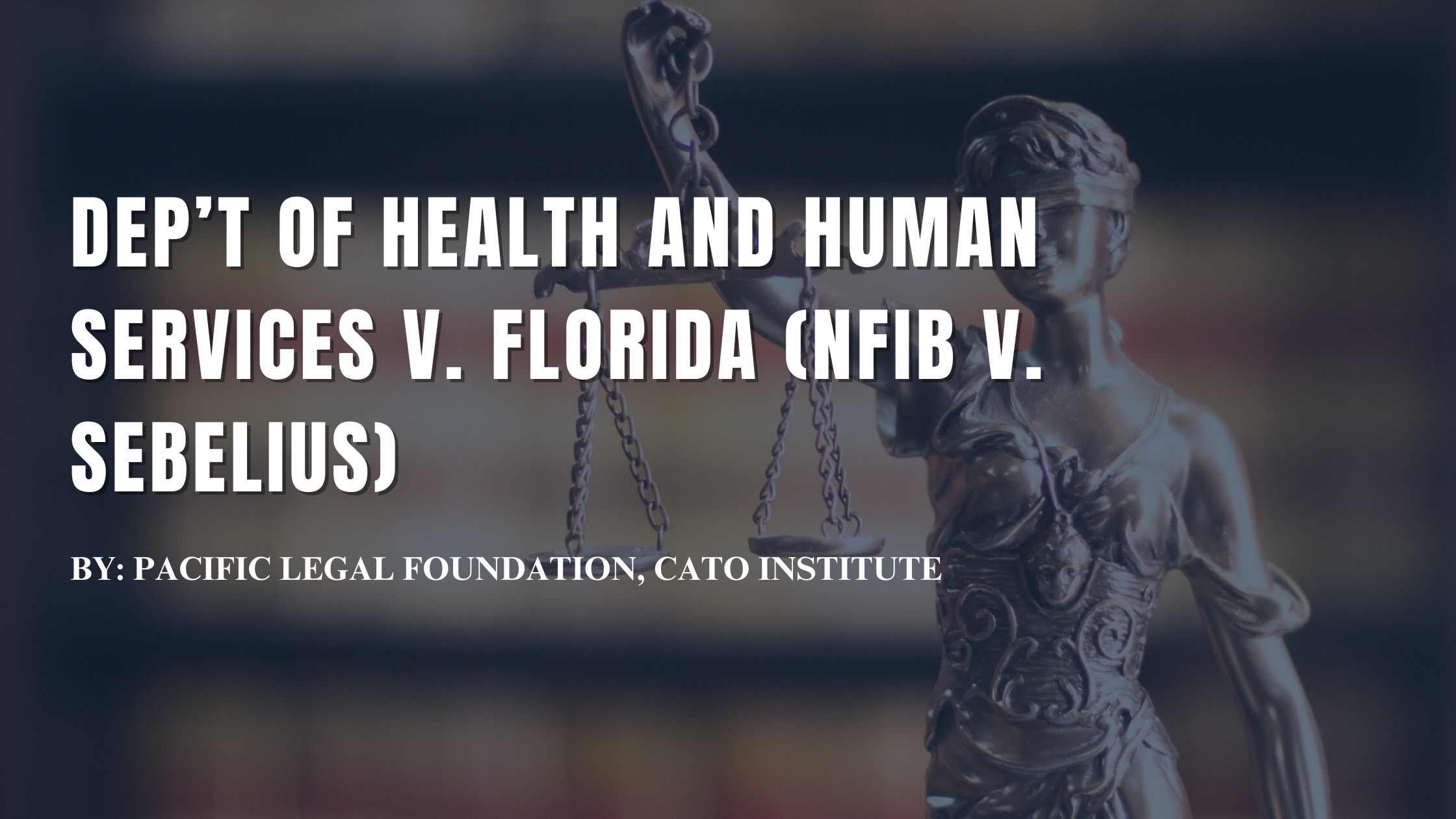 Dep’t of Health and Human Services v. Florida (NFIB v. Sebelius) - February 13, 2012
