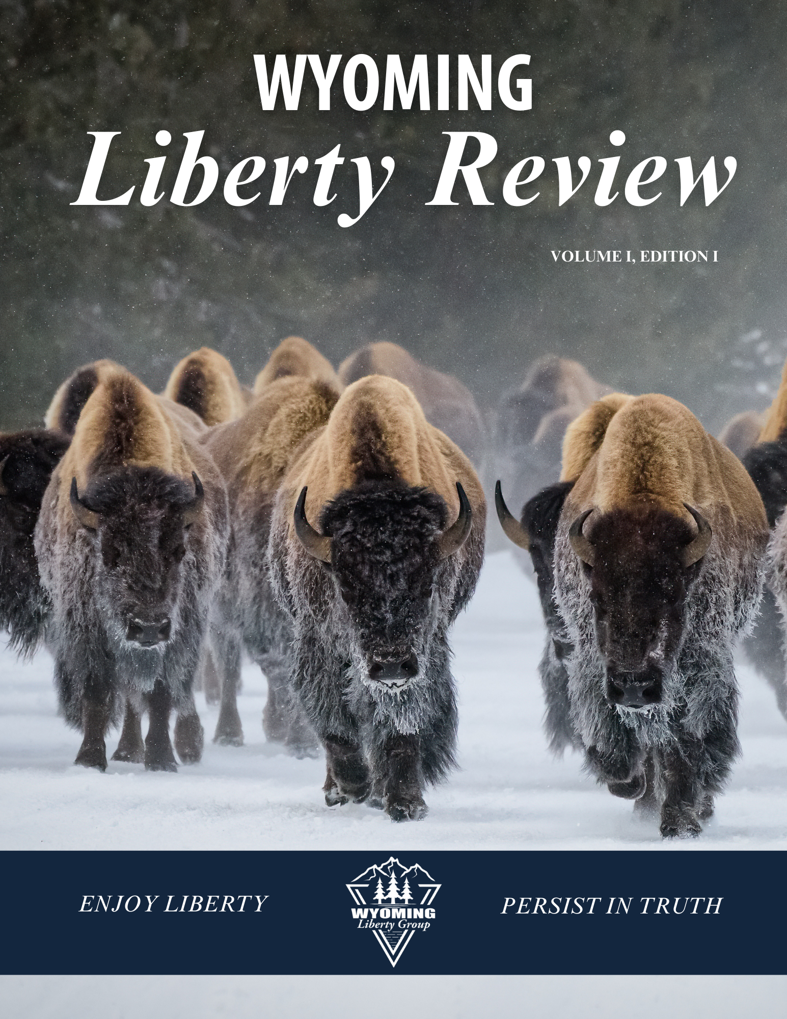 Wyoming Liberty Review Vol 1, Edition 2