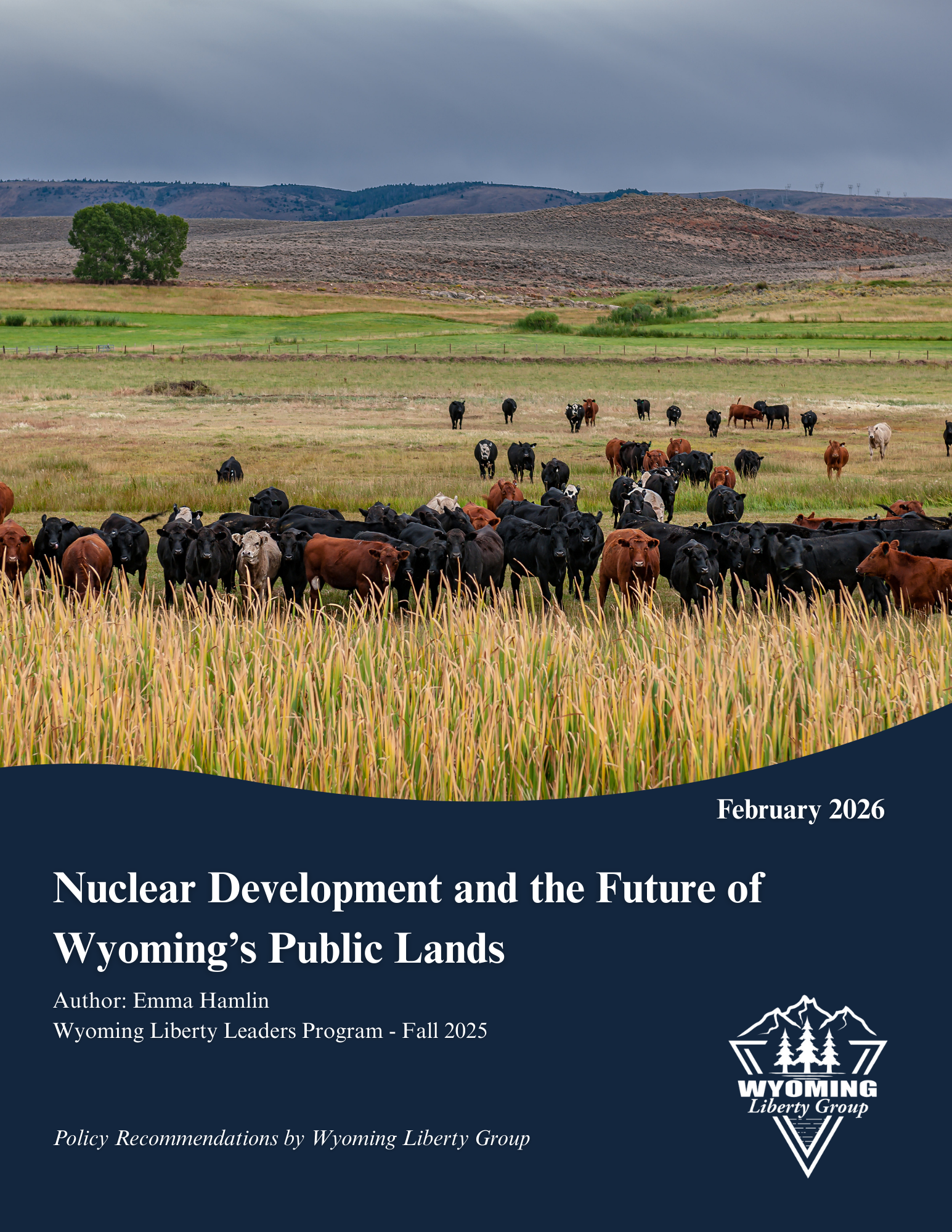 Nuclear Development and the Future of Wyoming's Public Lands