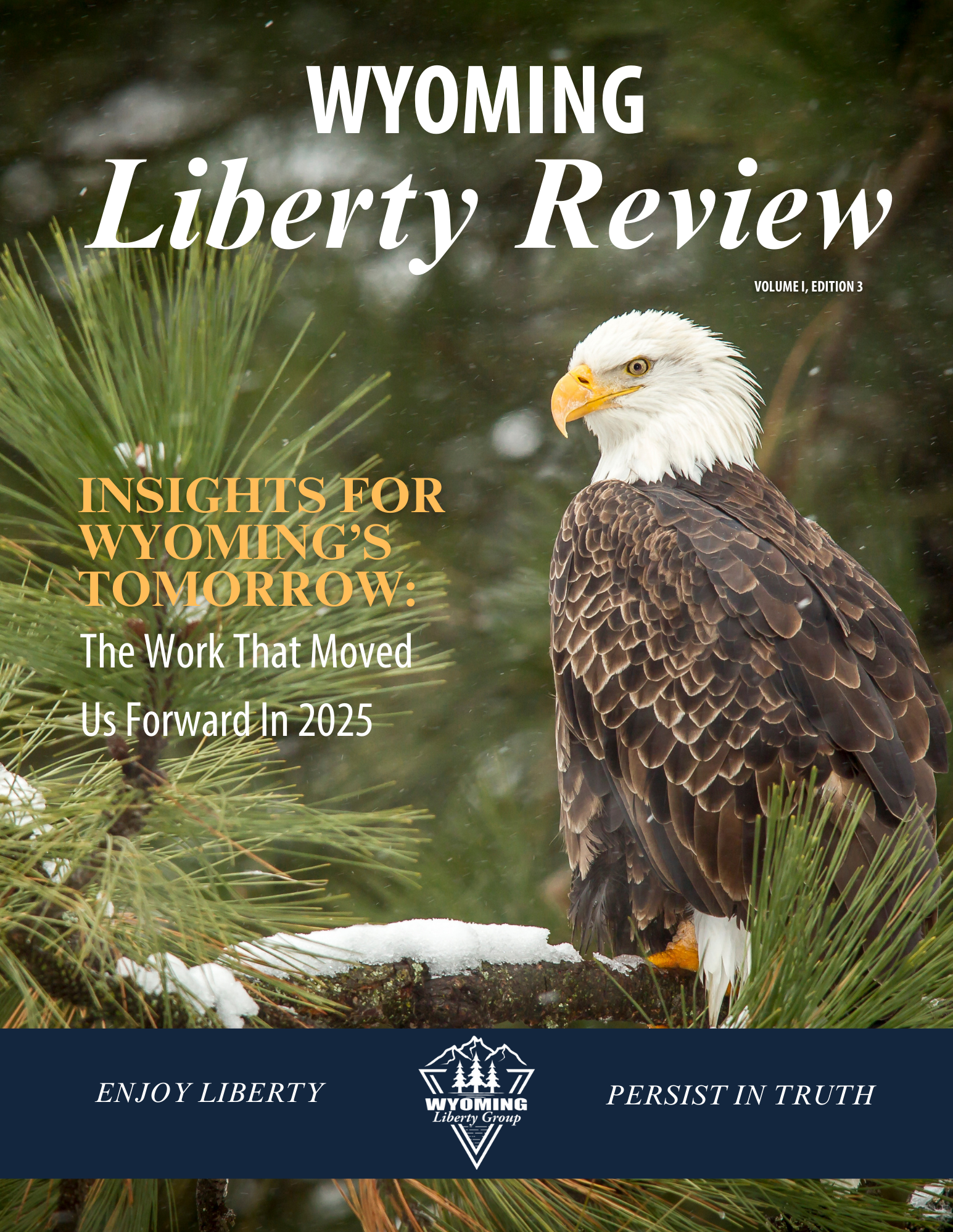 Wyoming Liberty Review Vol 1, Edition 3