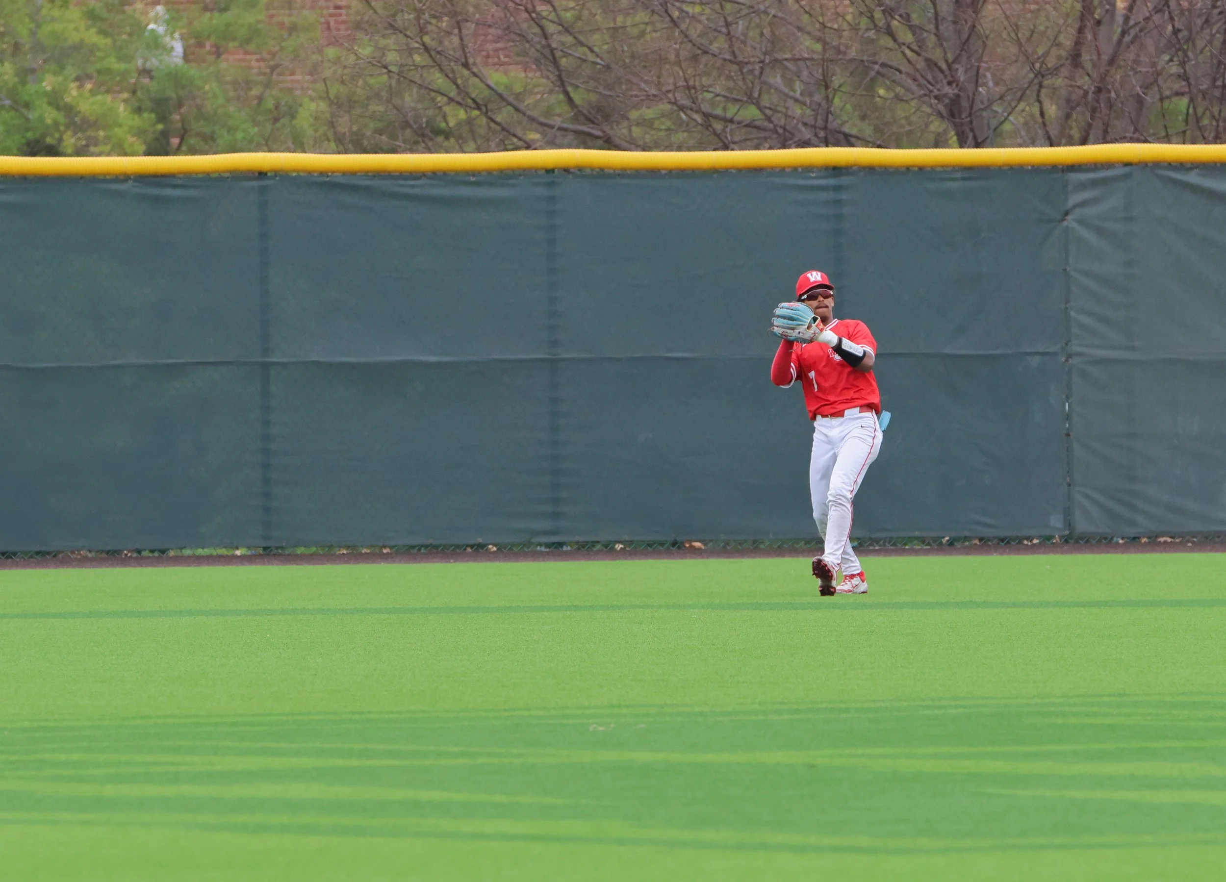 WASHU Baseball-1.jpg