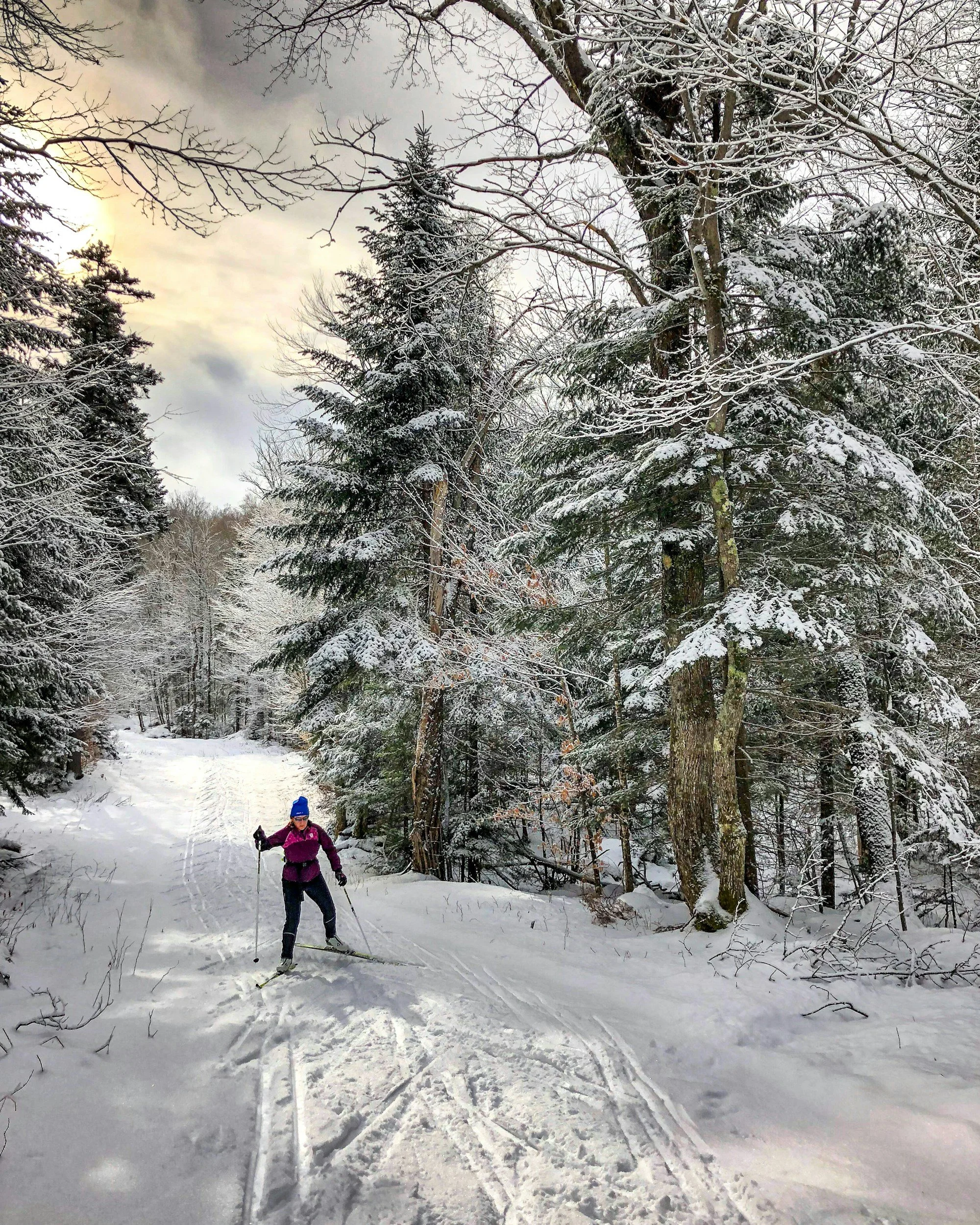 A person cross-country skiing on a snow-covered trail through a forest with snow-laden trees.
