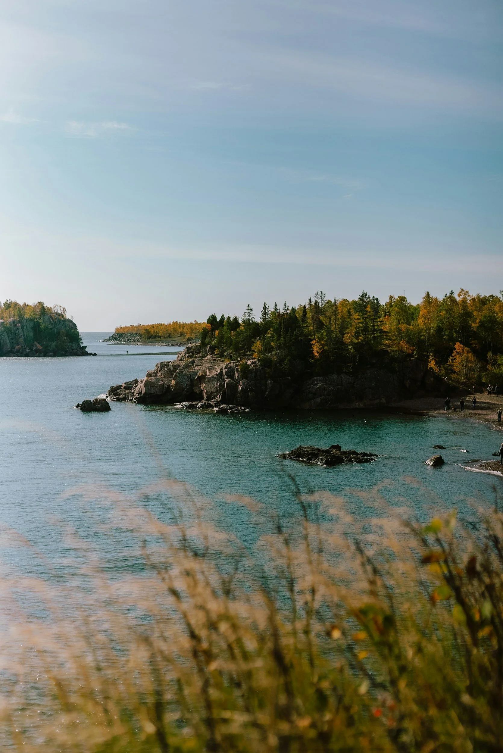Scenic view of a rocky shoreline with trees, calm water, and a clear sky.