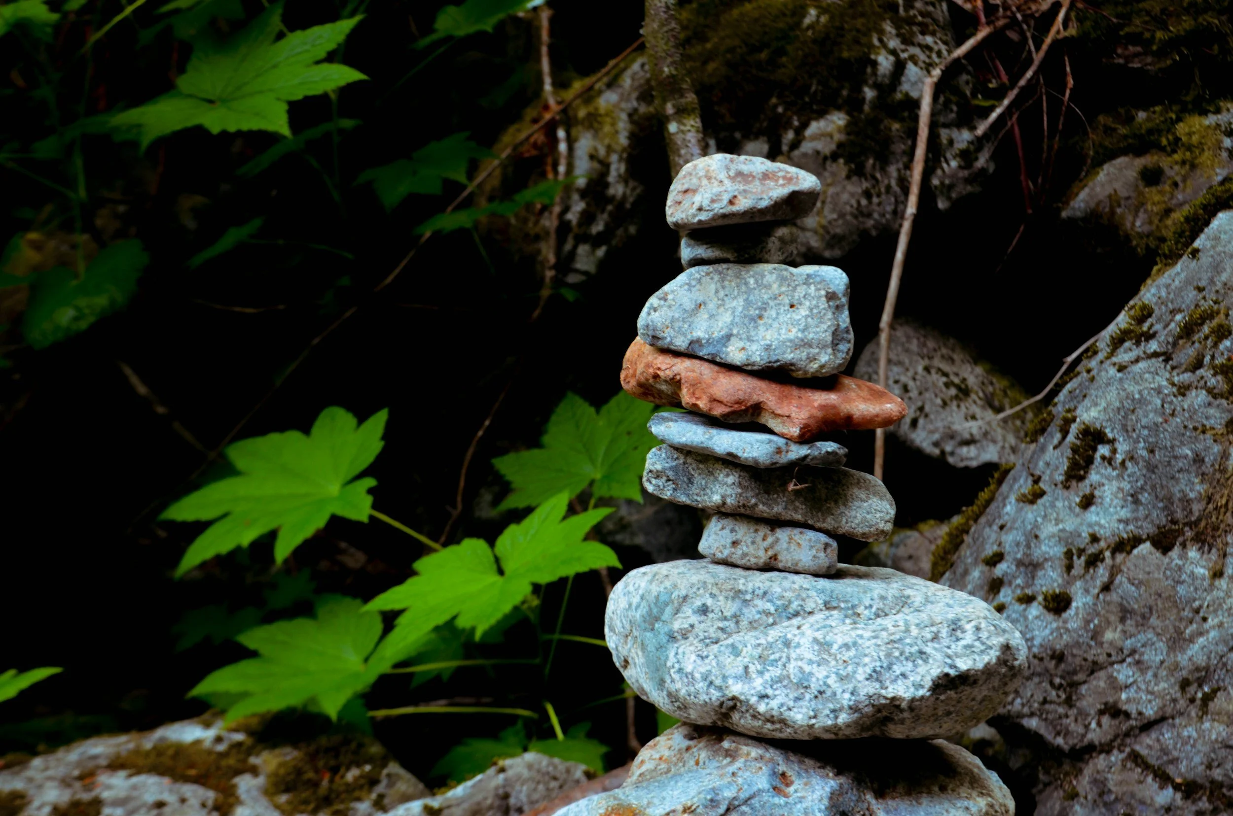 Stacked rocks on the ground with green leaves and rocks in the background.