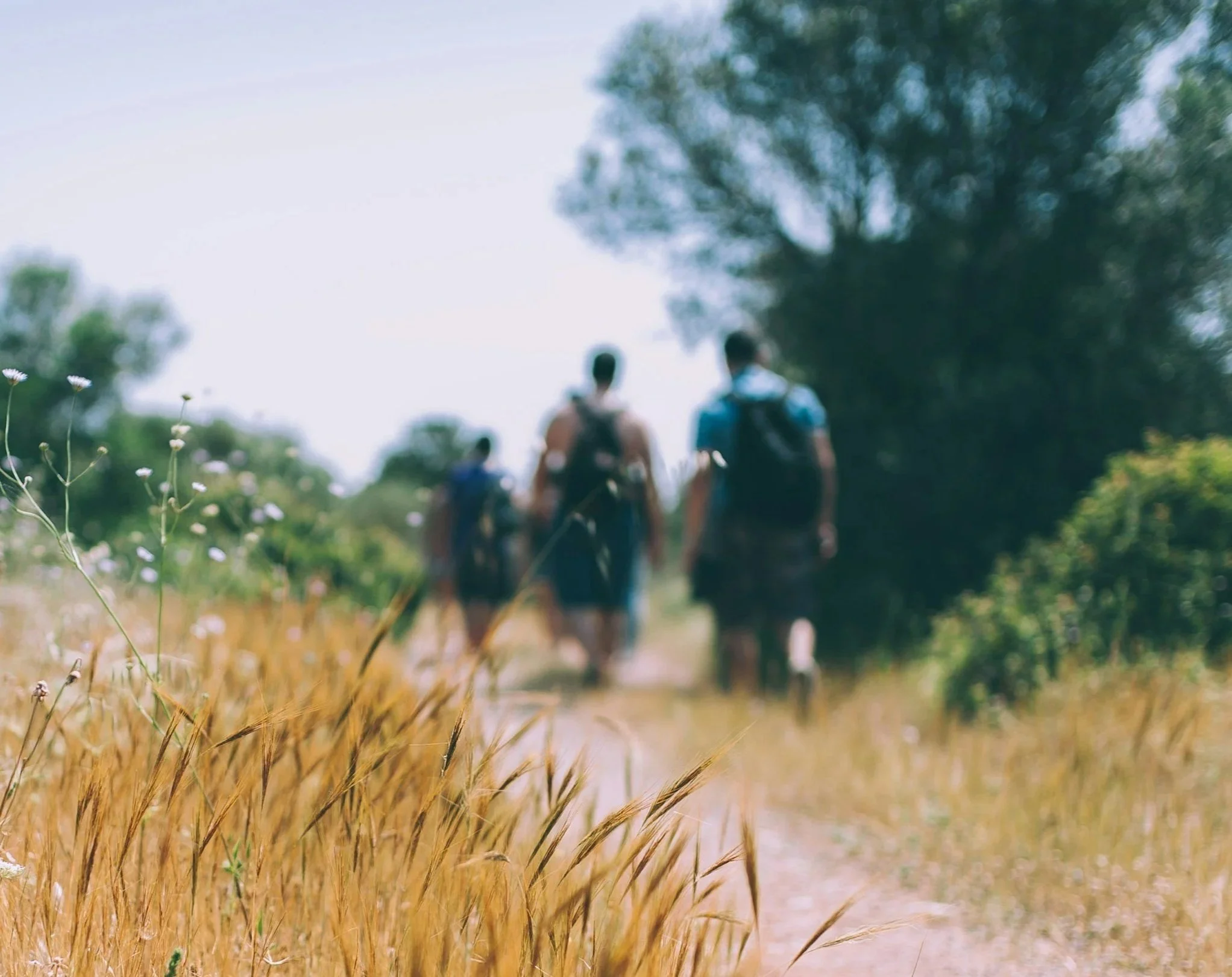 A group of four people hiking on a dirt trail through a grassy area with trees in the background.