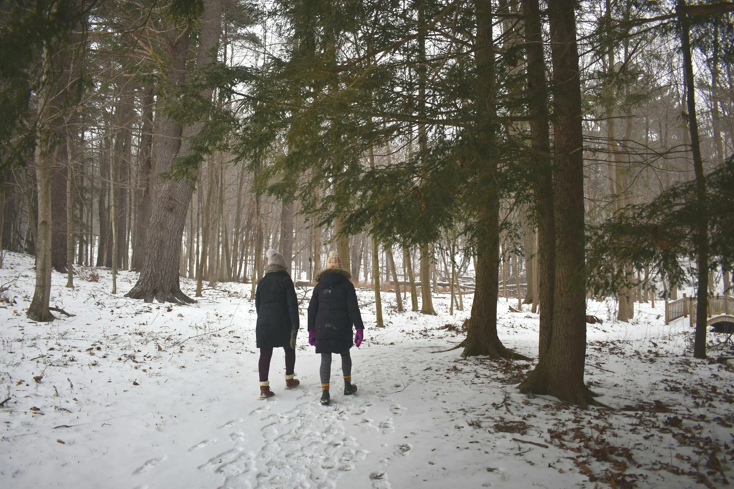 Two people walking on a snowy forest trail surrounded by tall trees, dressed in winter clothing.