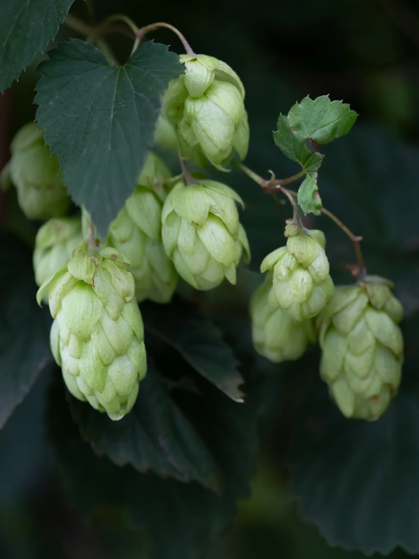 What&rsquo;s growing now will shape what&rsquo;s to come. 🌱 Hello, new year.