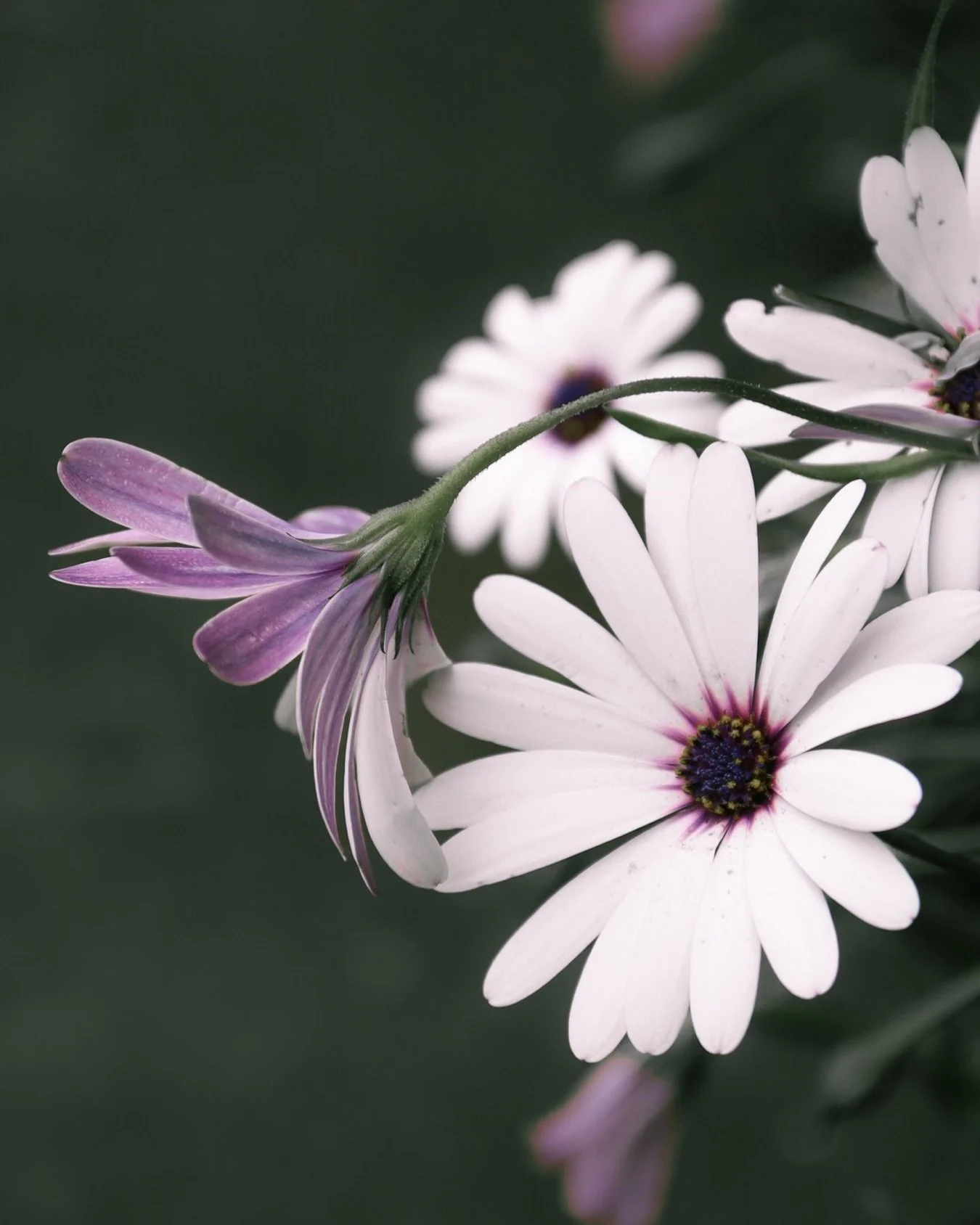 Sending you all the love and positive vibes today! Happy Valentine's Day! &hearts;️