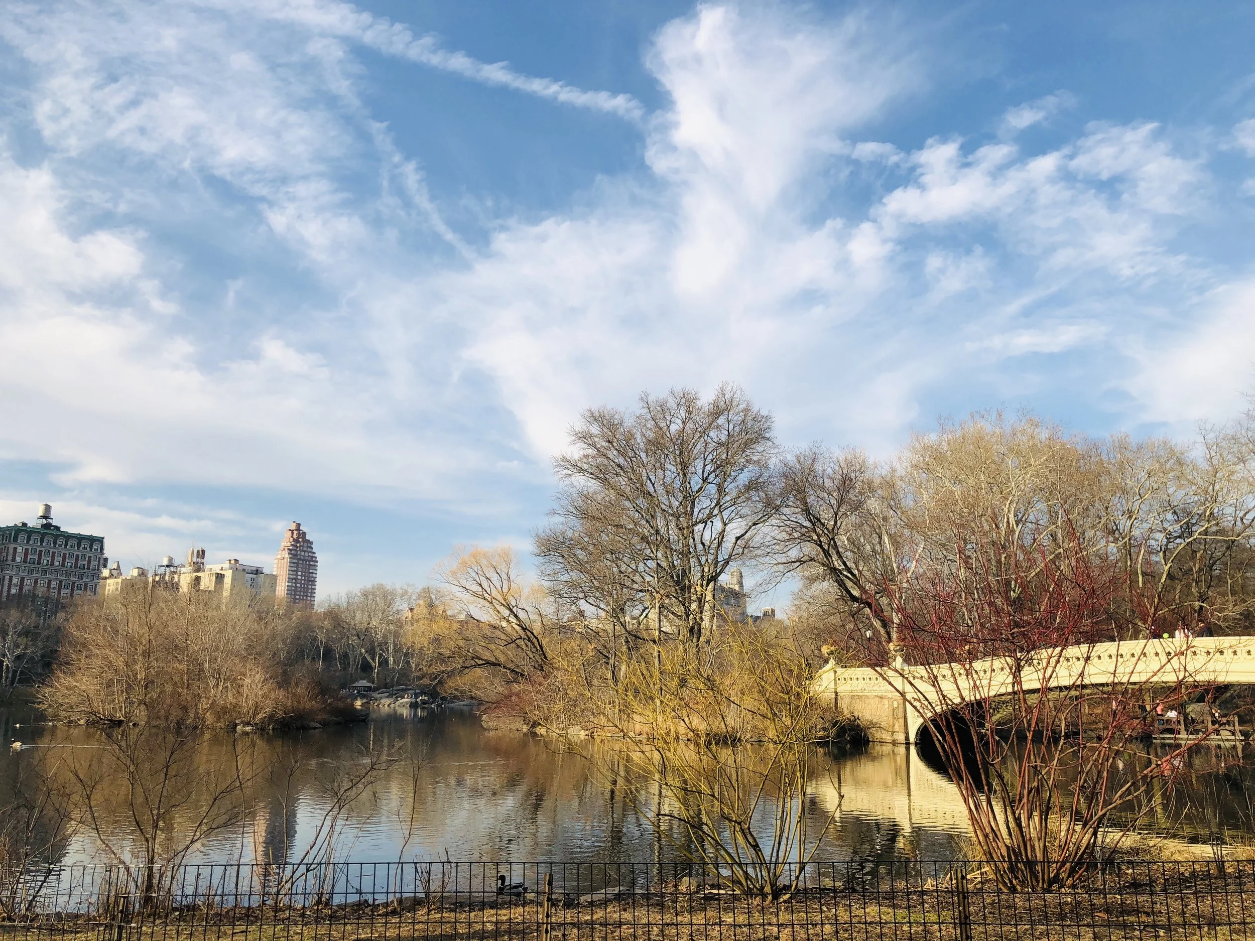 Scenic view of a river with trees reflecting in the water, a bridge on the right, and city buildings in the background under a partly cloudy sky.