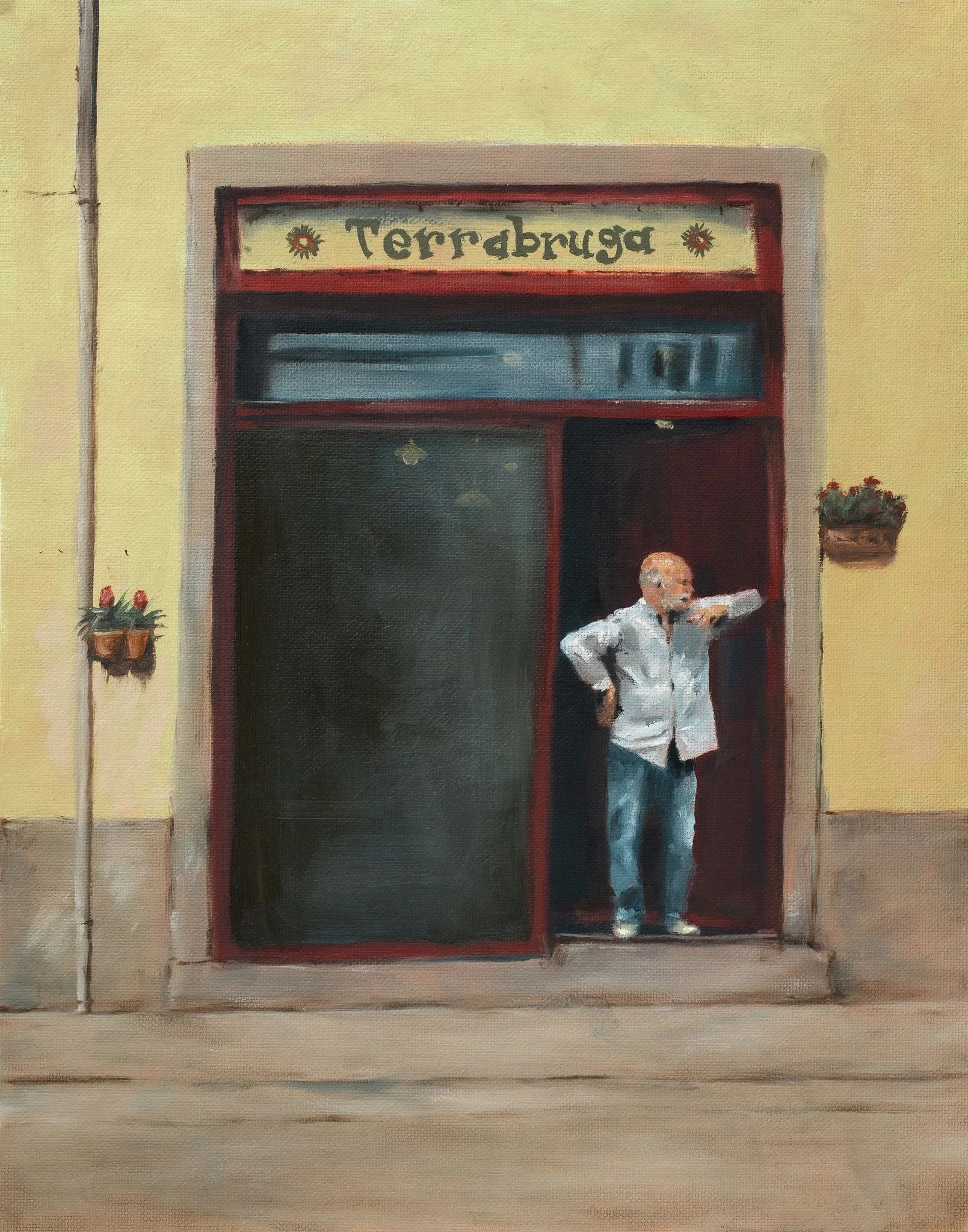 Terrabruga