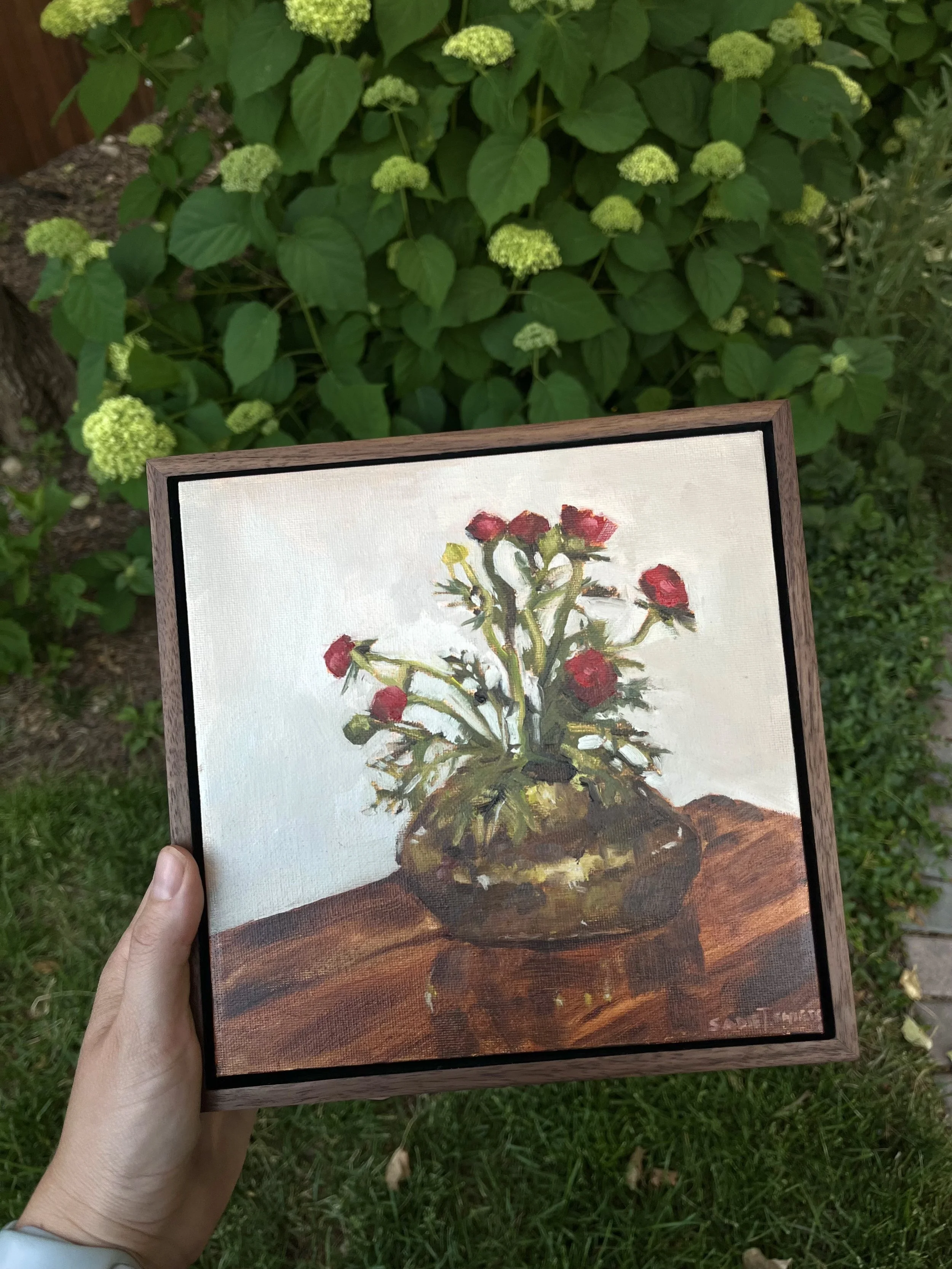 Ranunculus