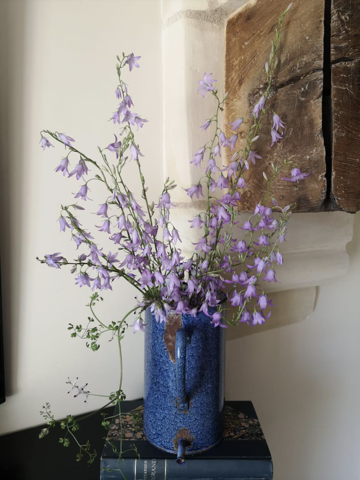 Screenshot 2025-12-10 at 10.40.05 AM.png