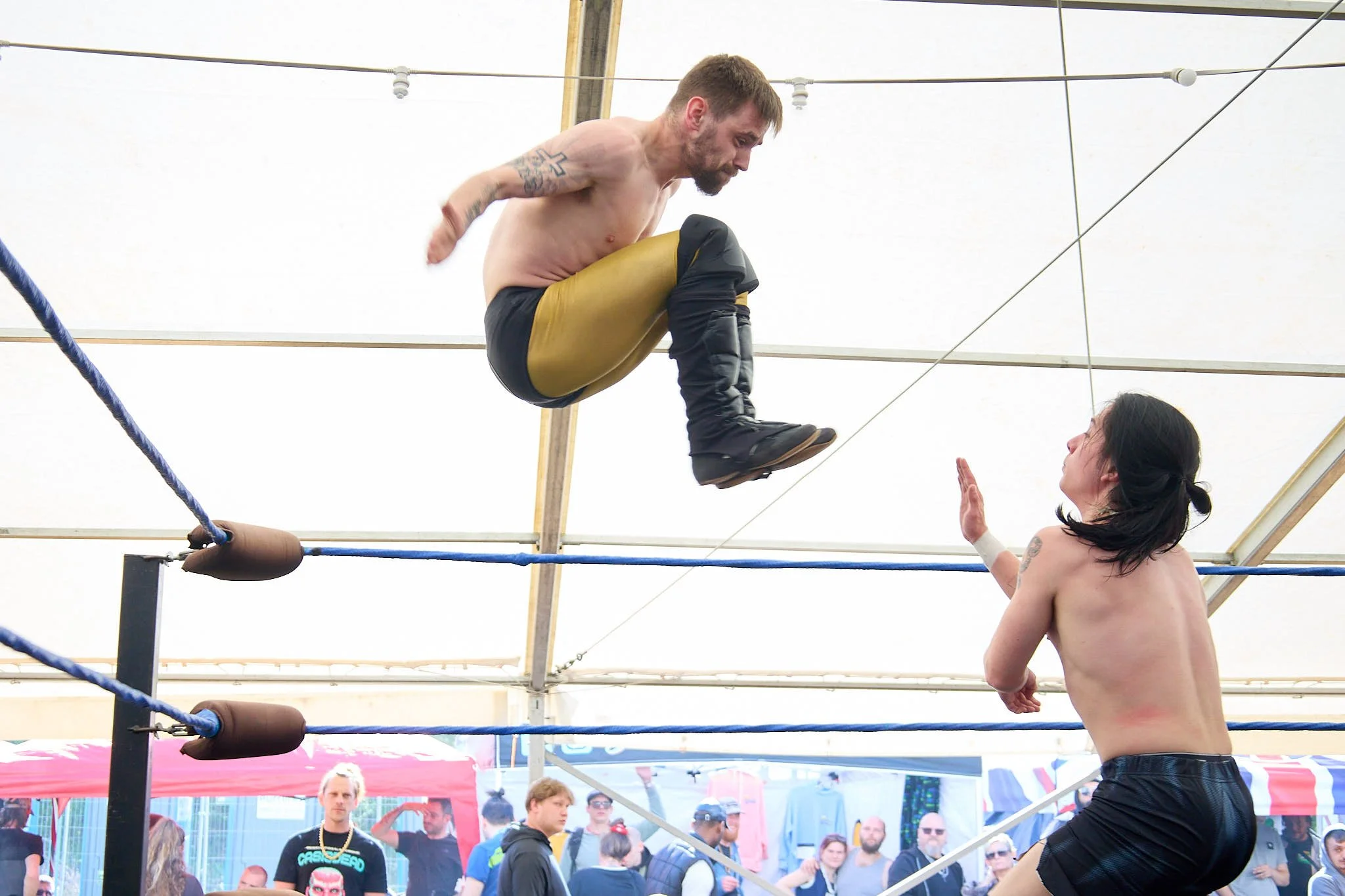 Professional Wrestling