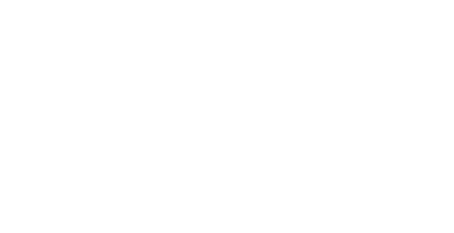 Text reading 'The Boston Globe' in white Old English font on a black background