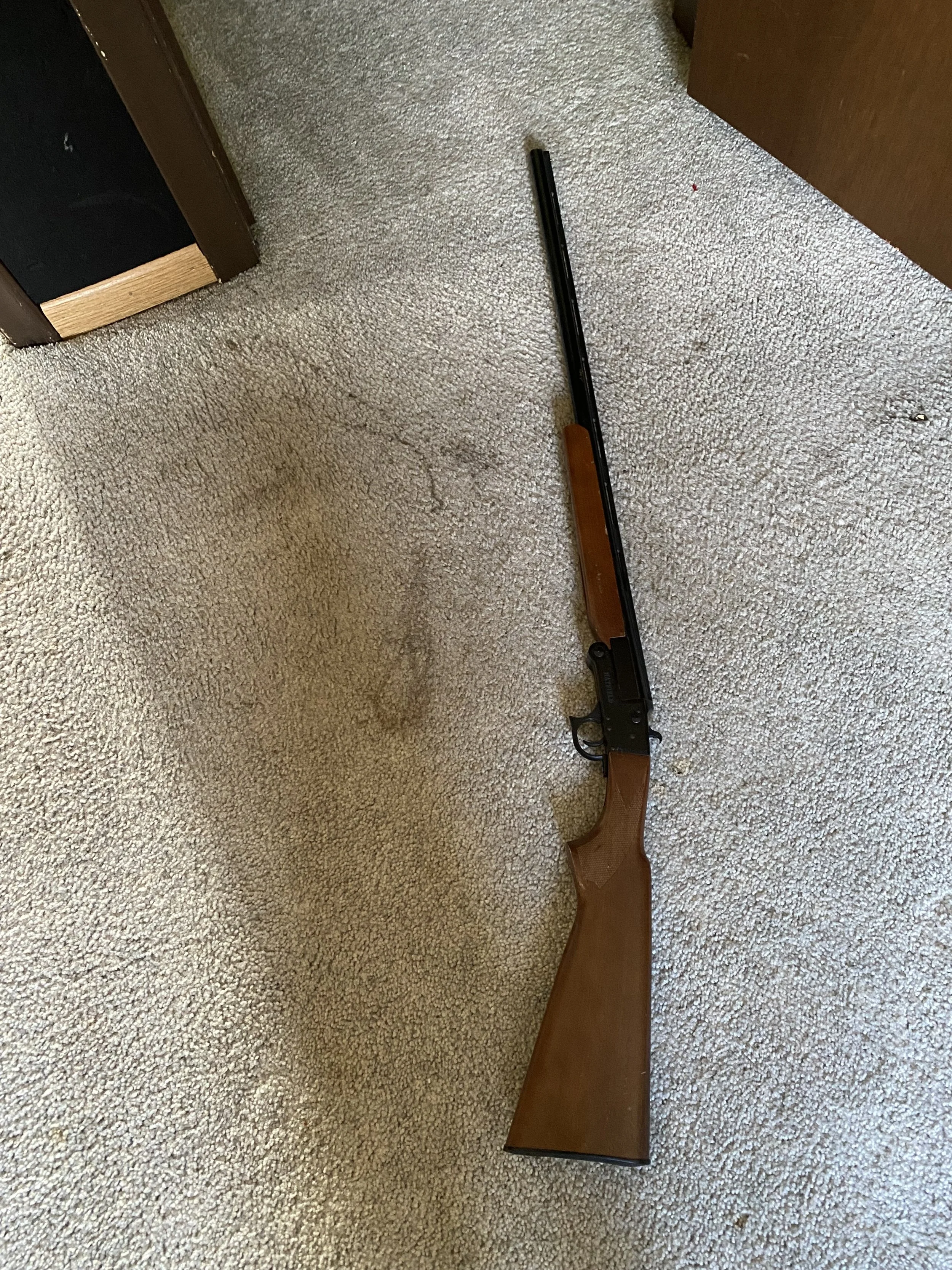 Gun in Closet of Adult Bedroom 