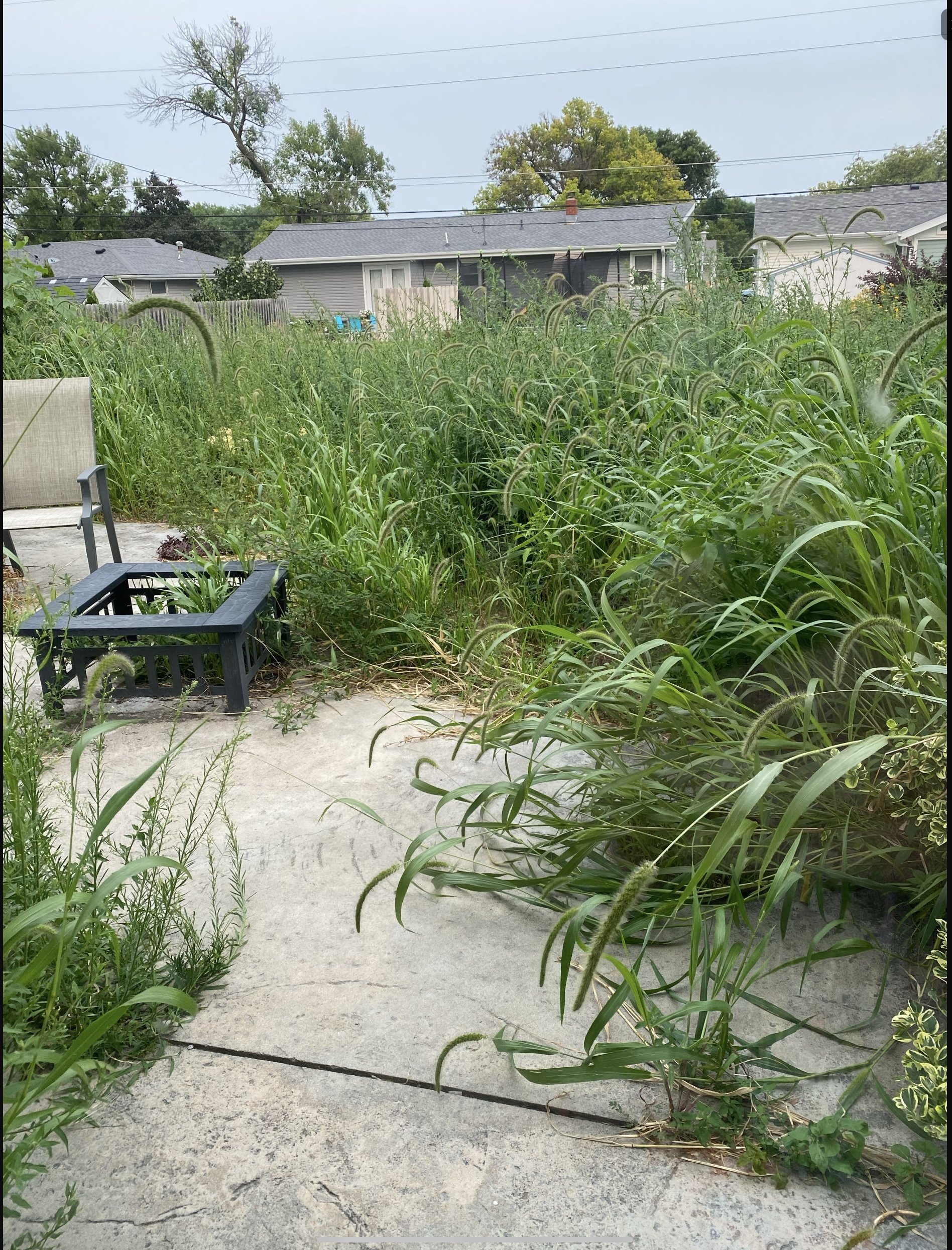 August 5, 2025 - Page 2