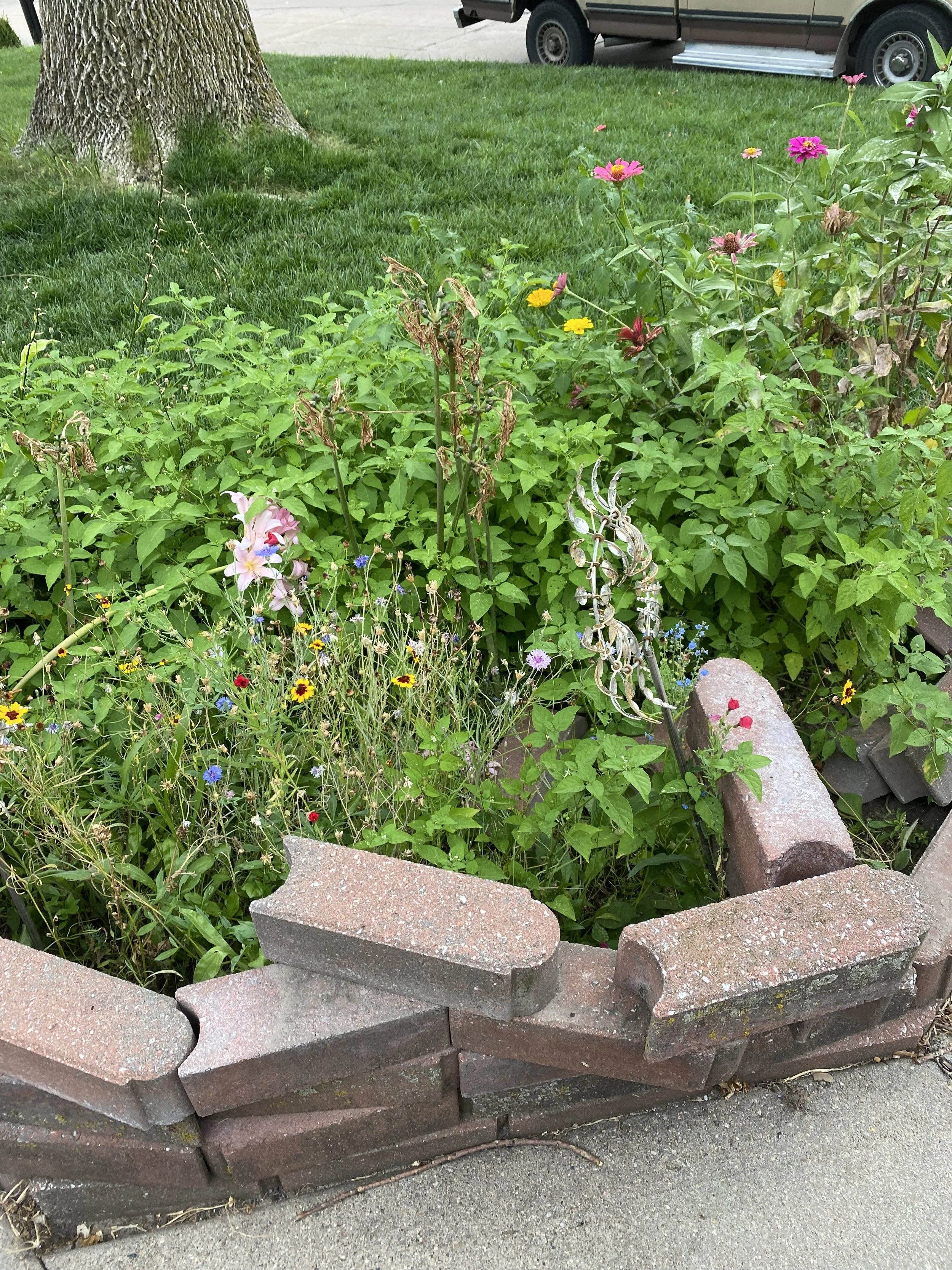 The planter that everyone destroys 