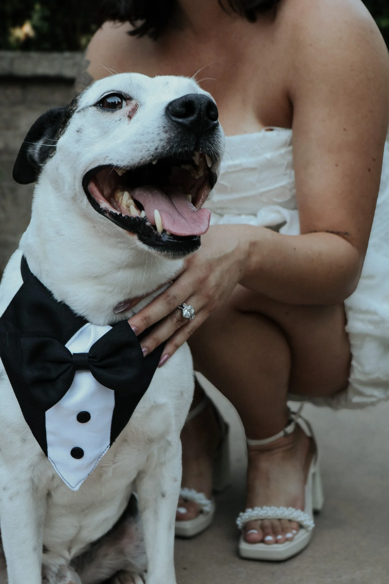A woman wearing a wedding dress and high heels is holding a happy dog dressed in a tuxedo with a bow tie.