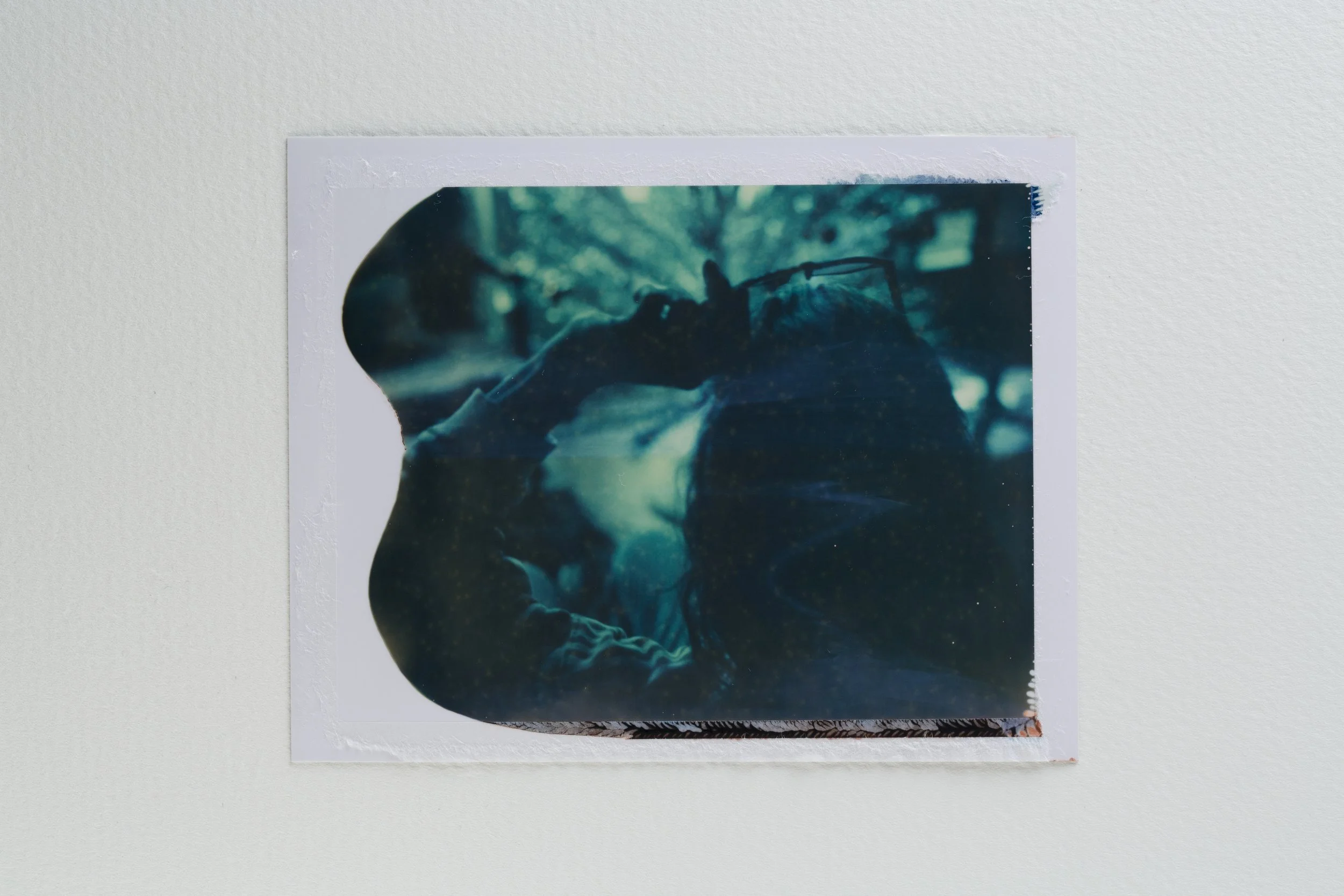 goose - 669-001-Edit.jpg