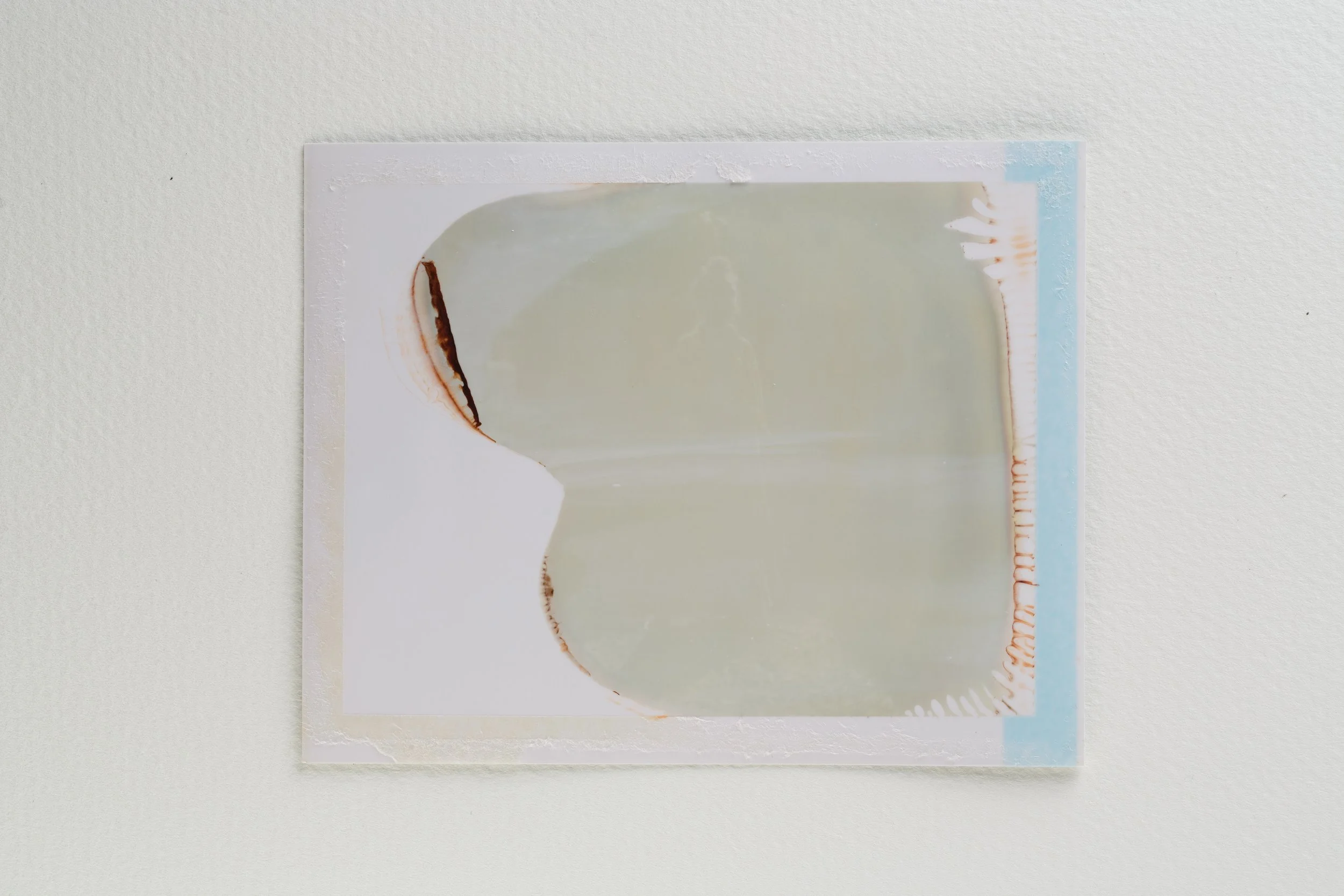 goose - last breath-014-Edit.jpg