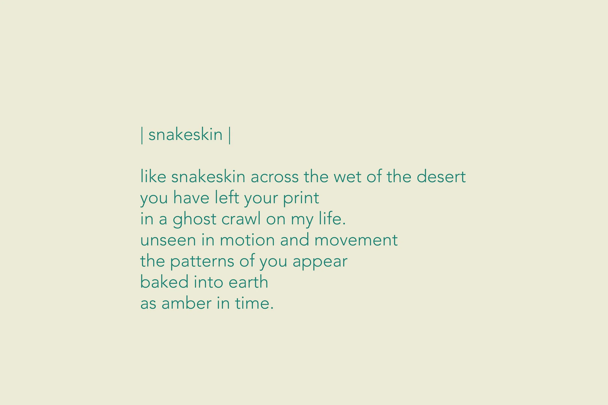 snakeskin.jpg