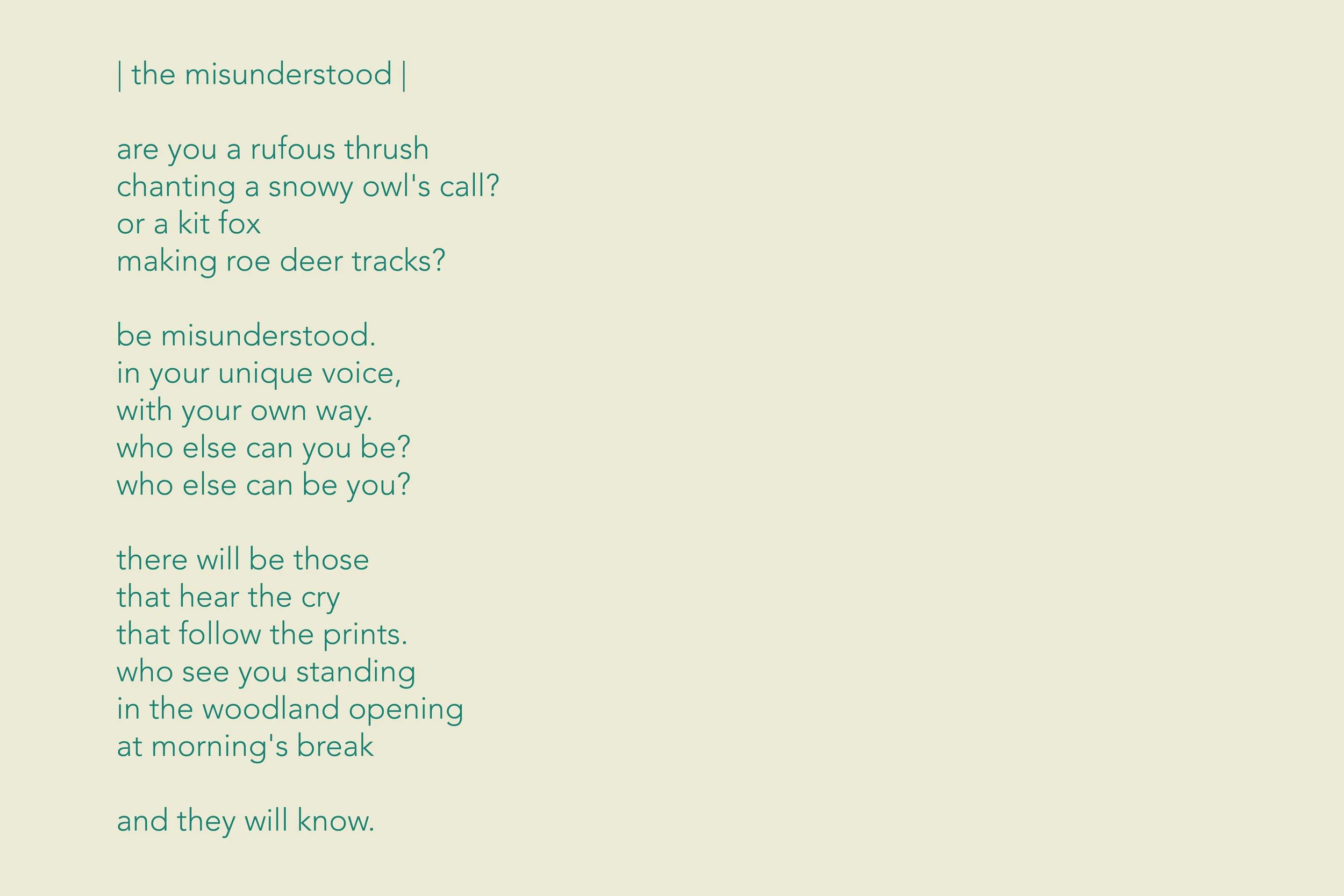 the misunderstood.jpg