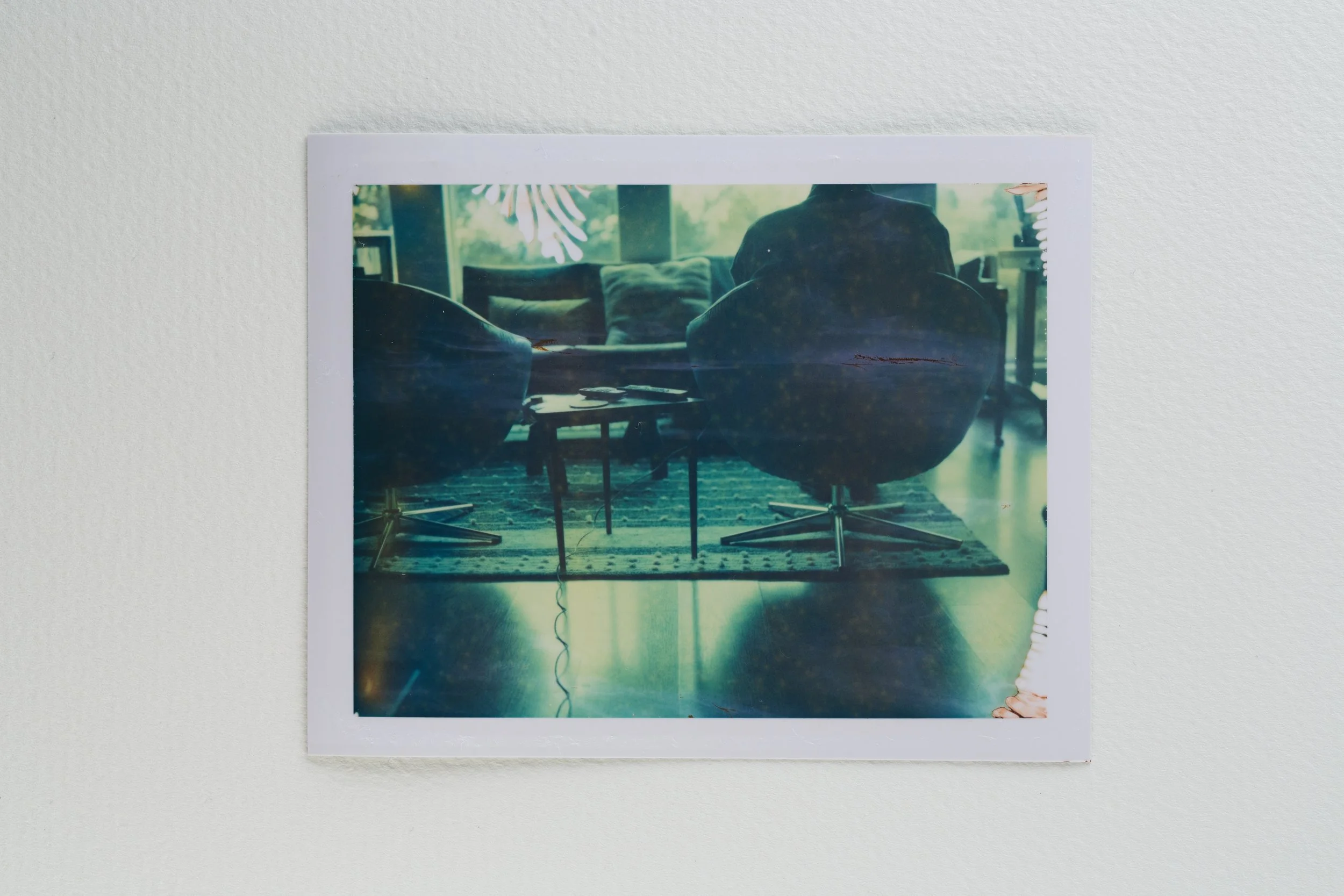 goose - polaroid 669-001-Edit.jpg