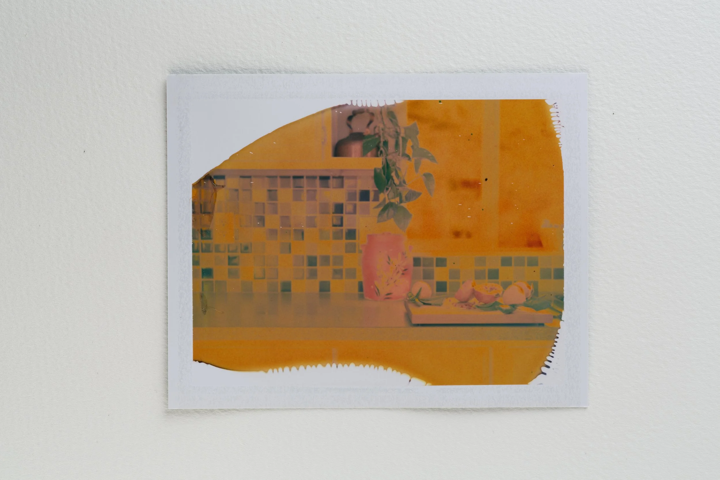 goose - fuji fp100-018-Edit.jpg