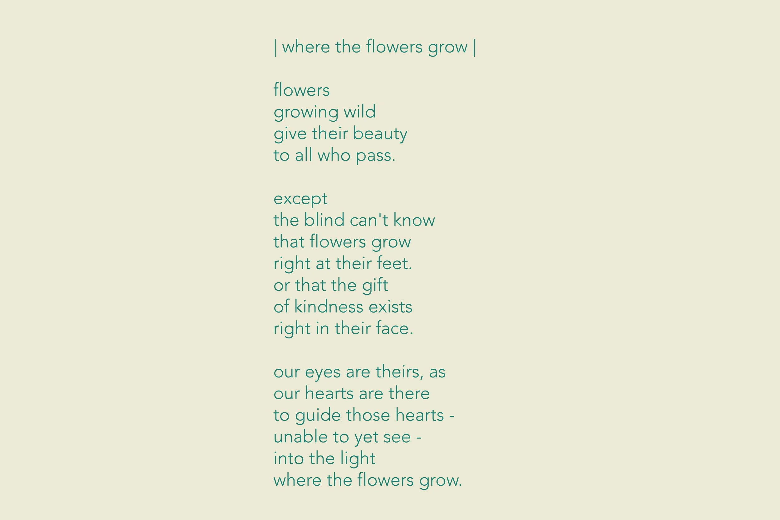 where the flowers grow.jpg