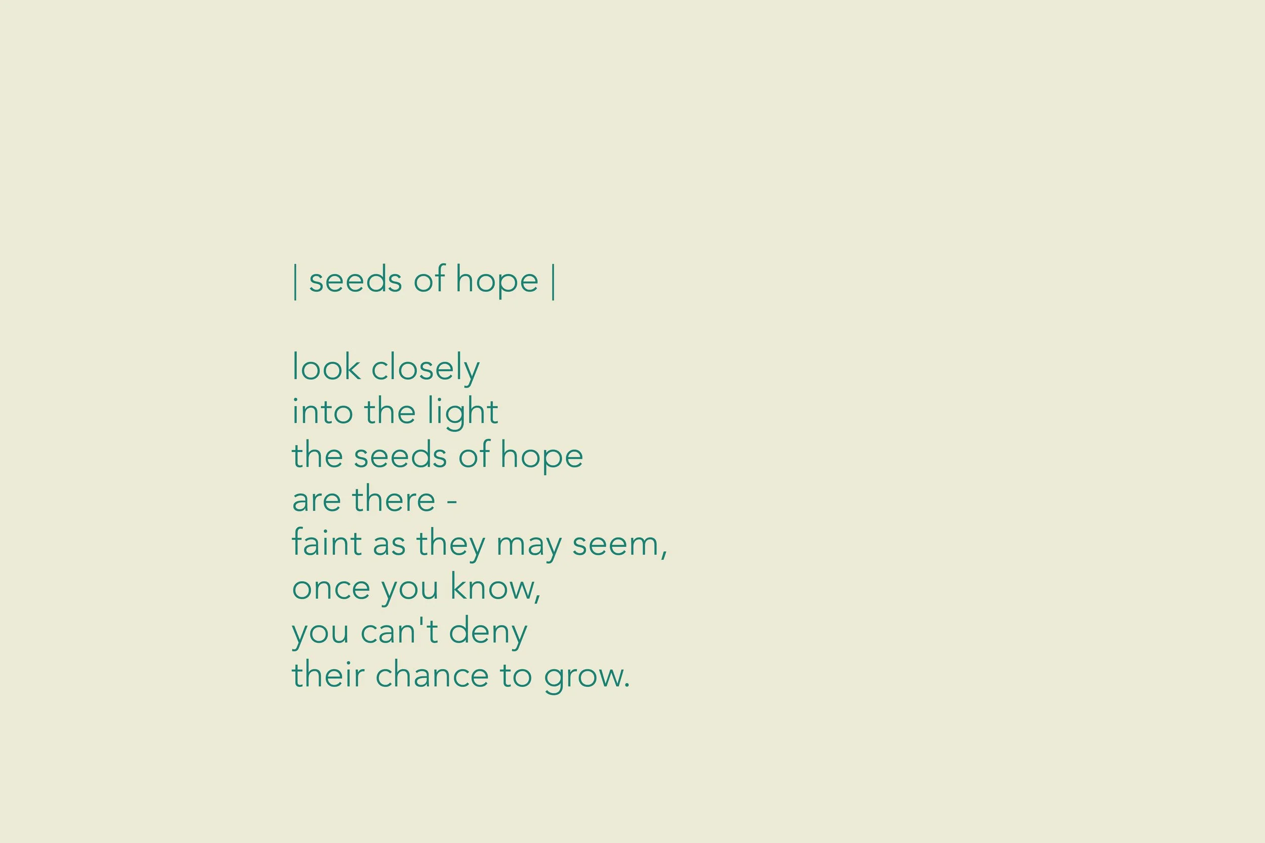 seeds of hope.jpg