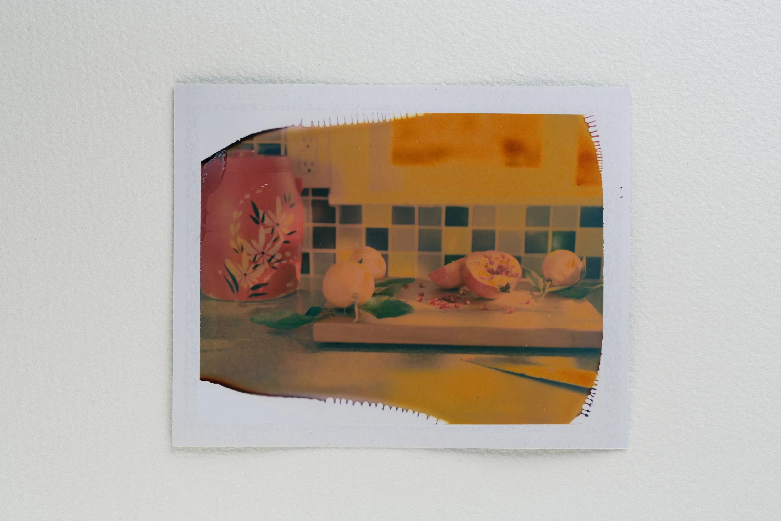 goose - fuji fp100-014-Edit.jpg