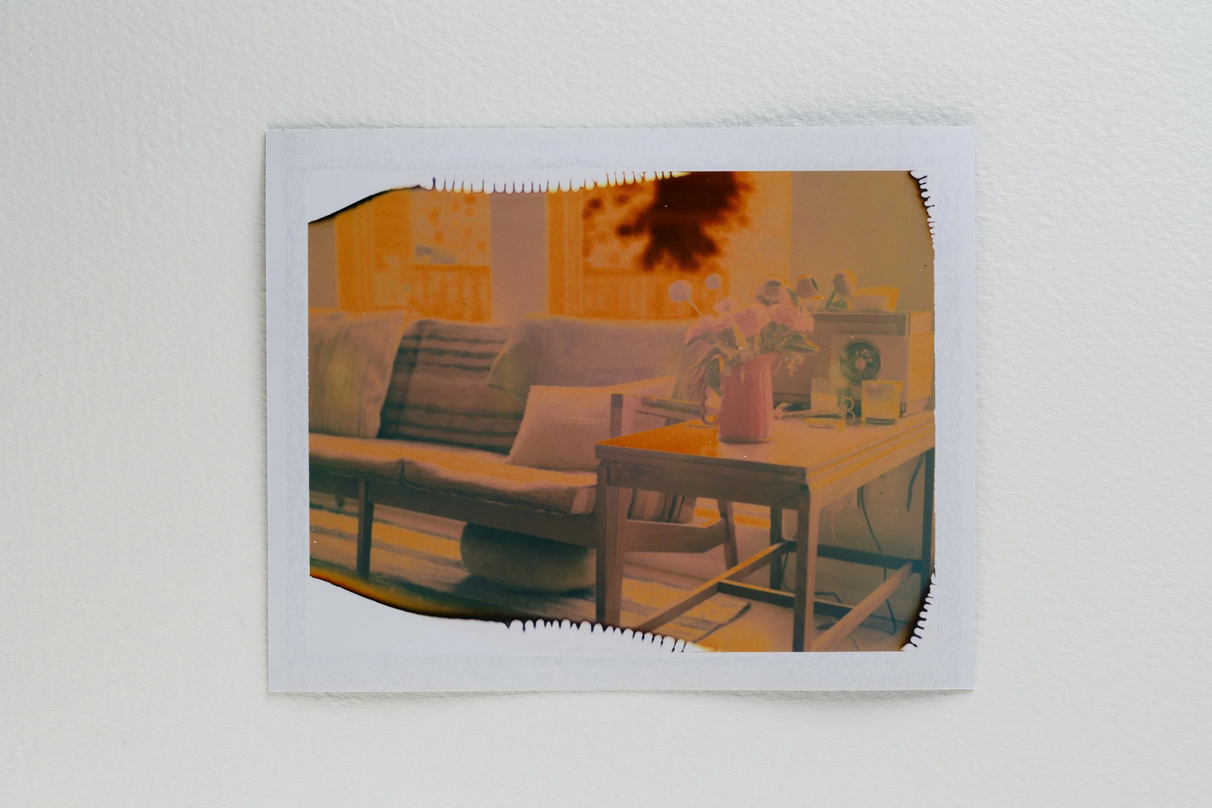 goose - fuji fp100-012-Edit.jpg