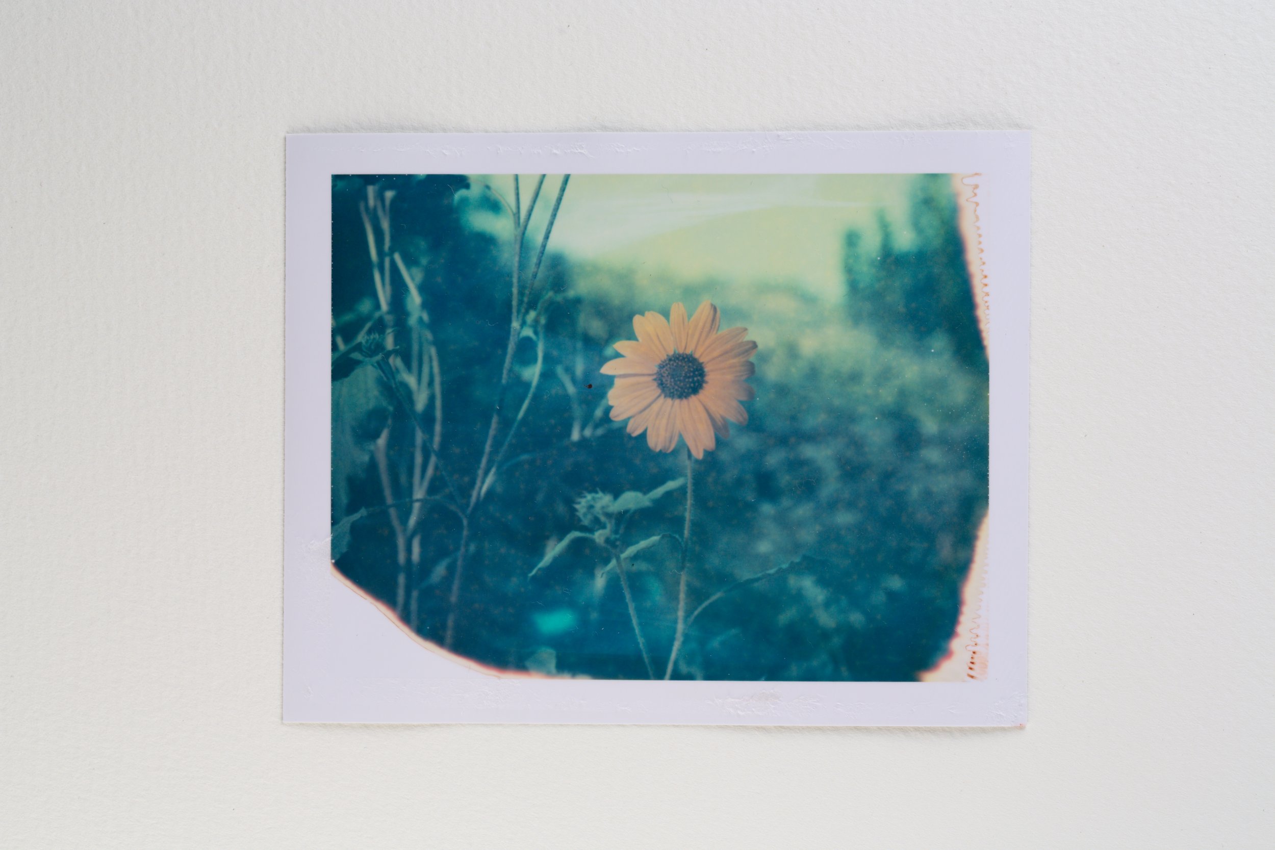fp-1 - 669-522-Edit.jpg
