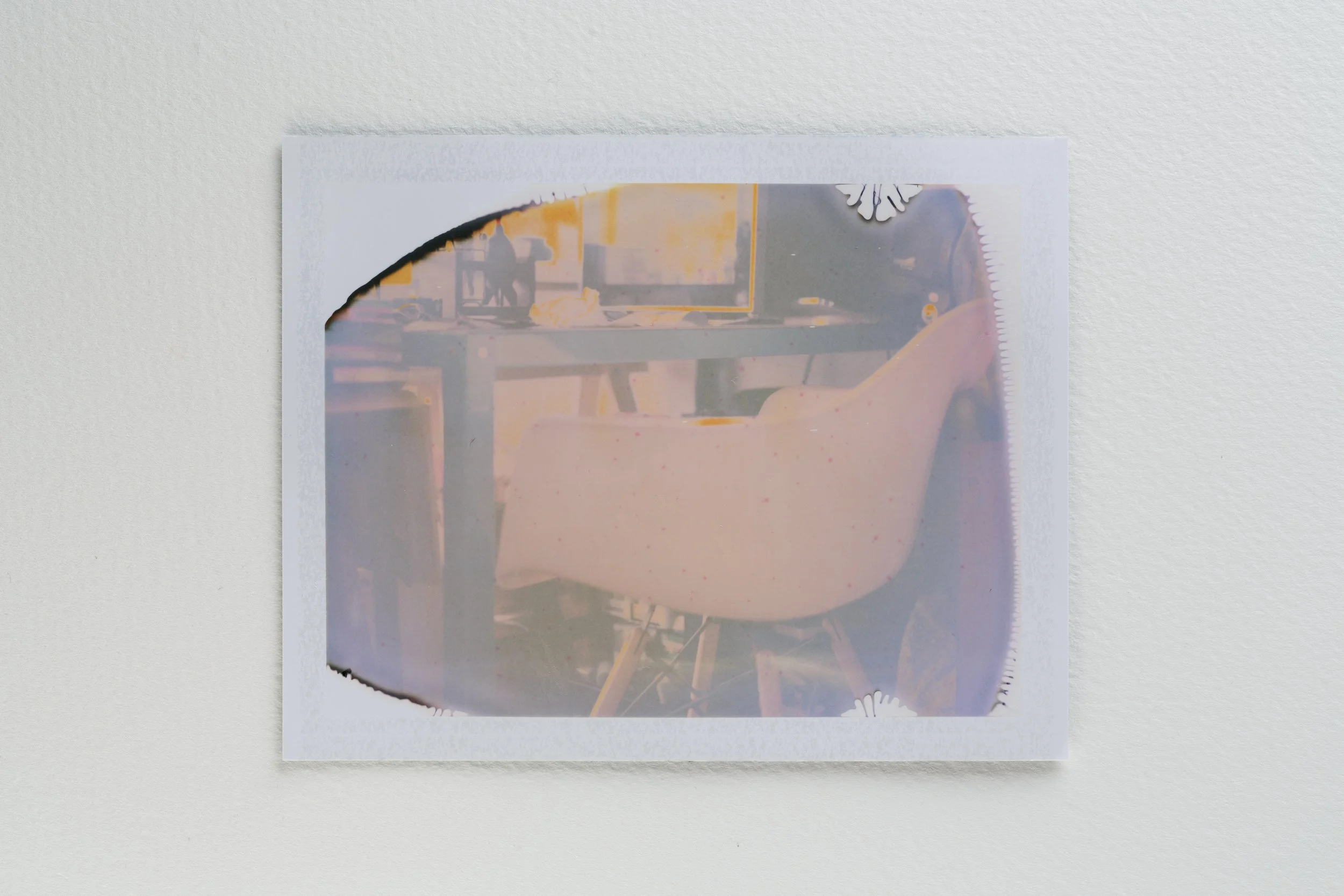 goose - fuji-009-Edit.jpg