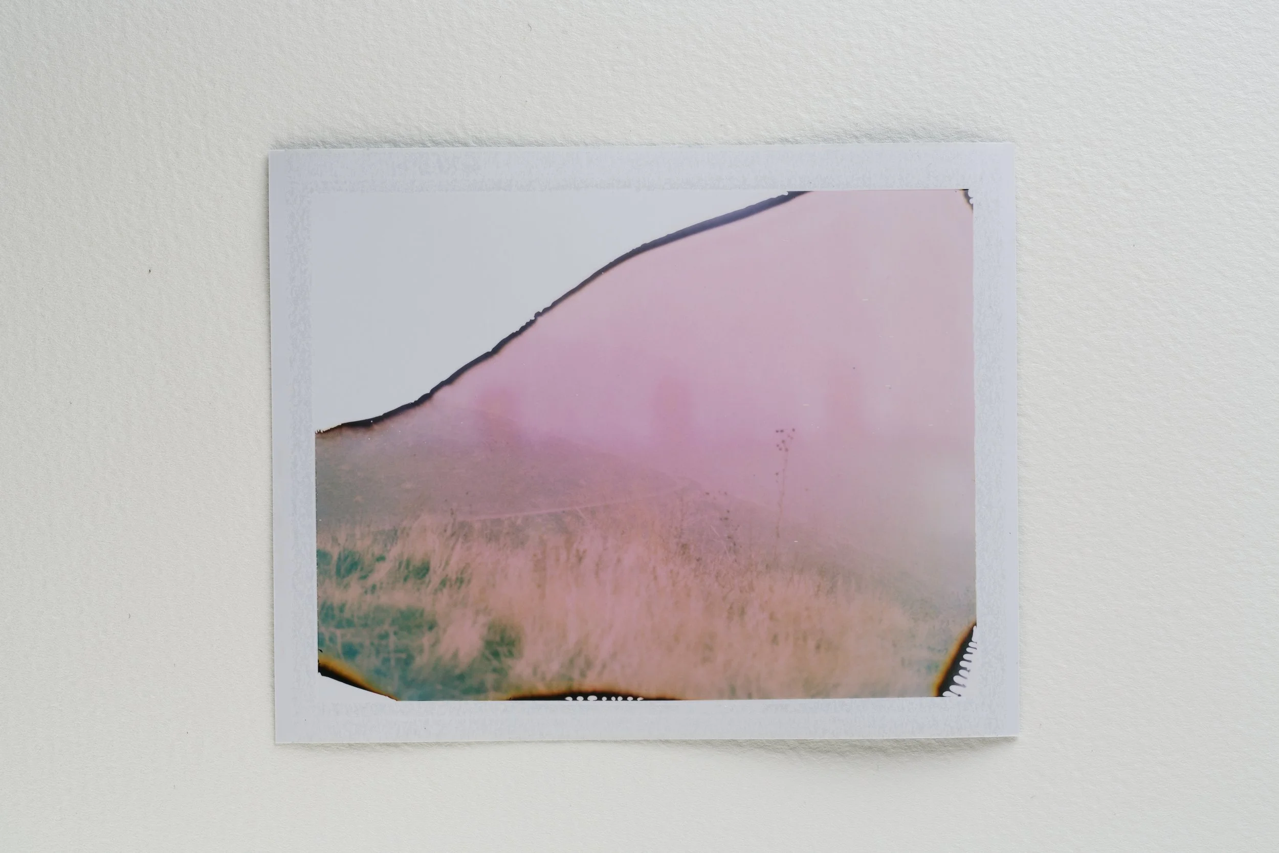 goose - fuji fp100-020-Edit.jpg