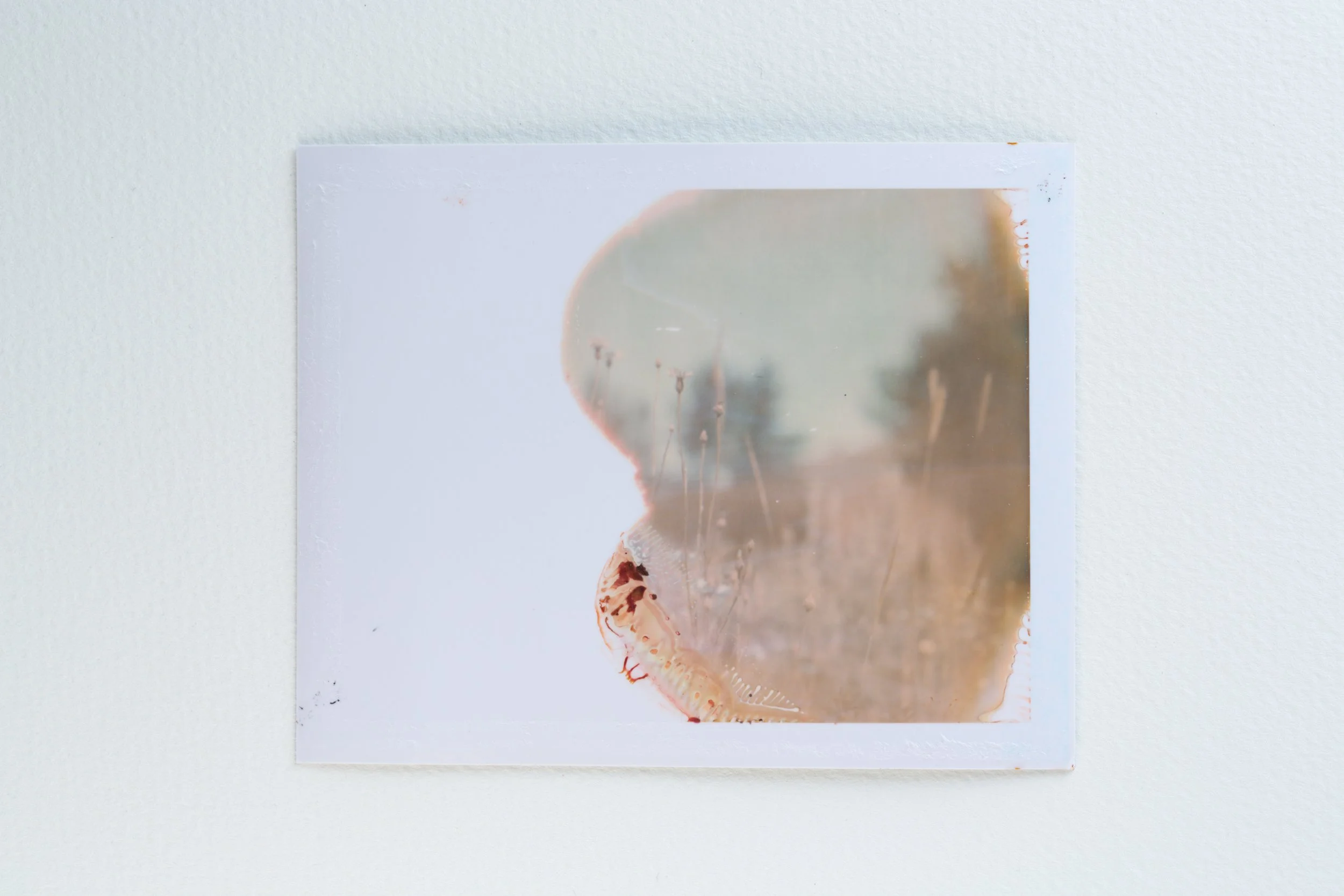 polaroid 600se - 669-578-Edit.jpg