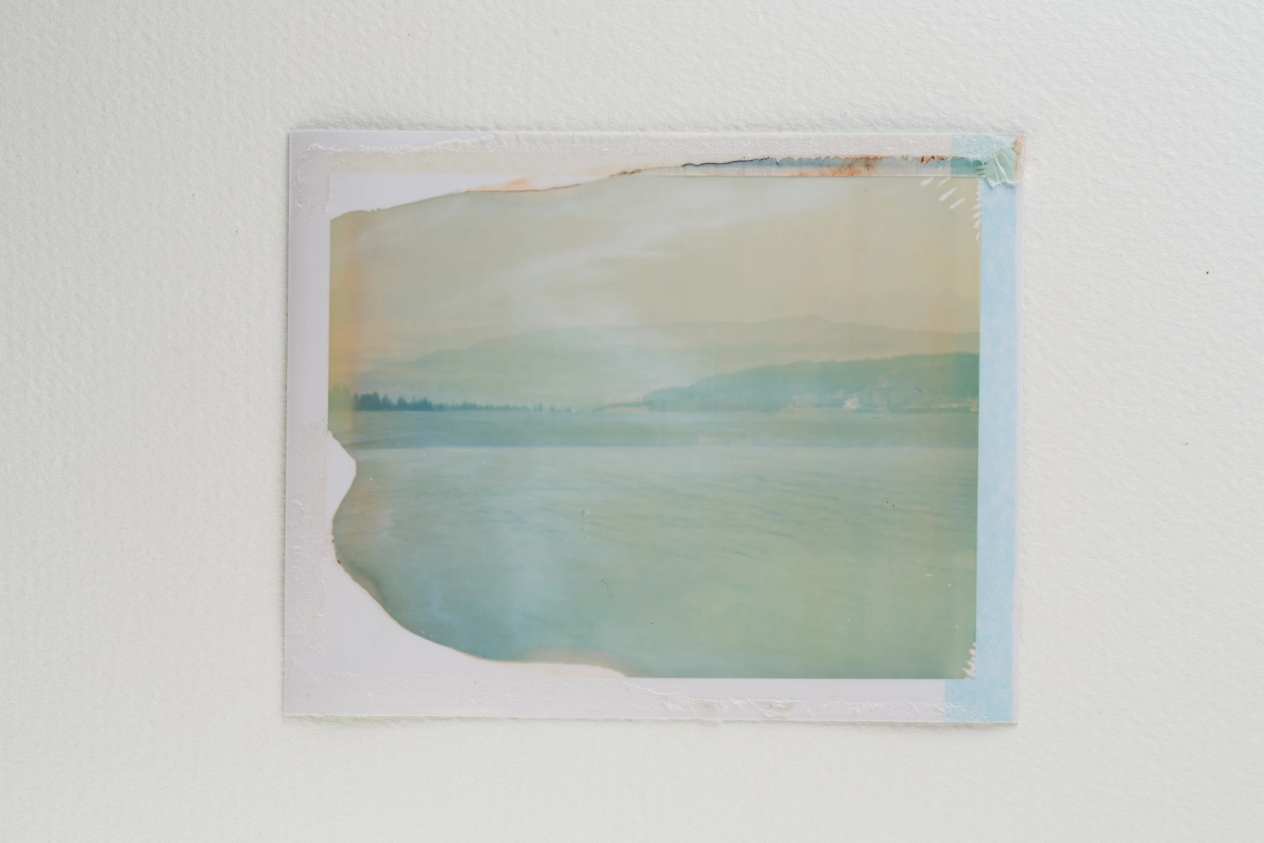 goose - last breath-004-Edit.jpg