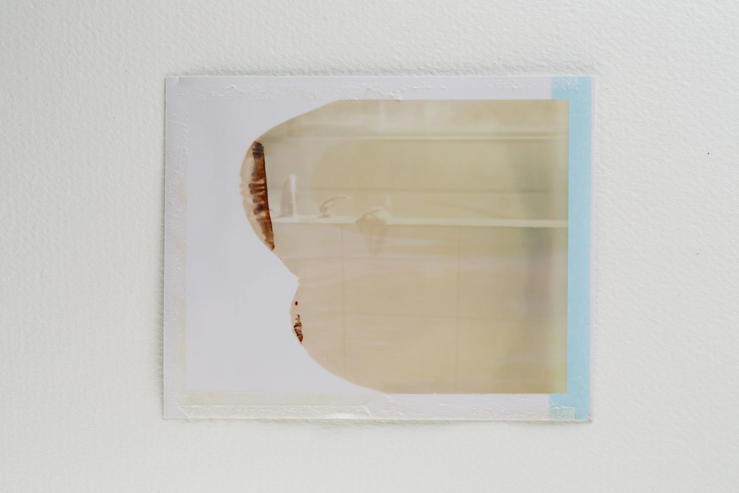 goose - last breath-002-Edit.jpg