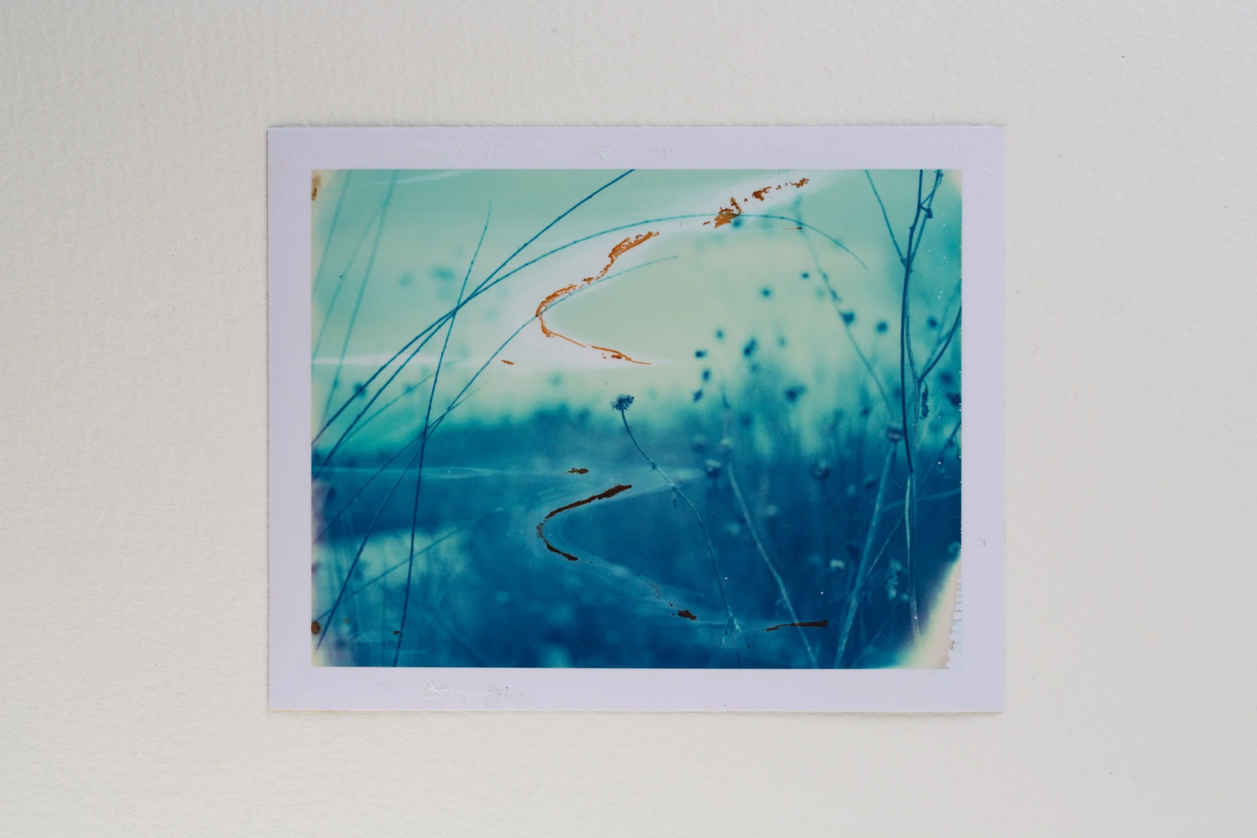 goose - 669-189-Edit.jpg