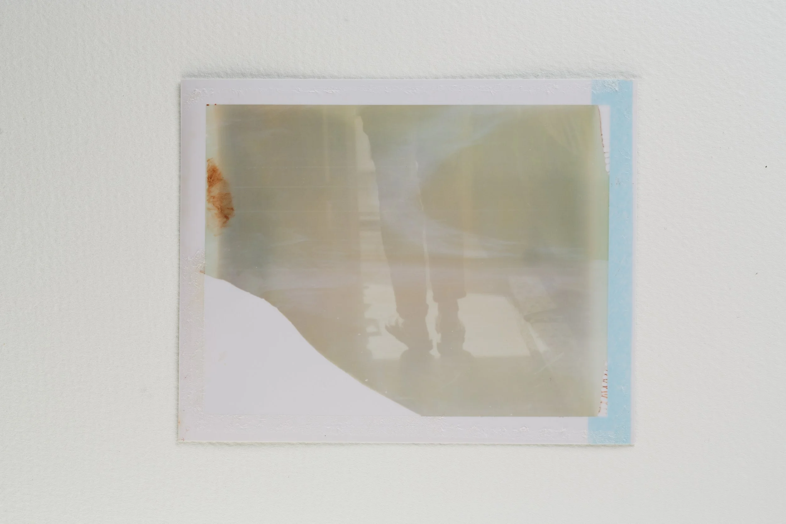 goose - last breath-010-Edit.jpg