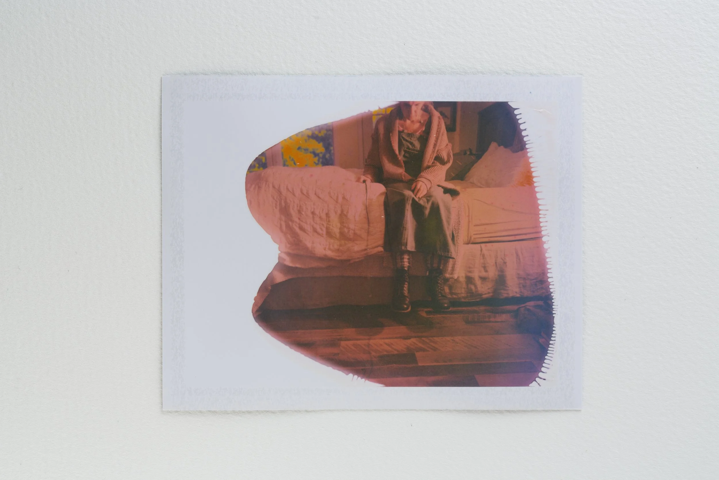 goose - fuji-013-Edit.jpg