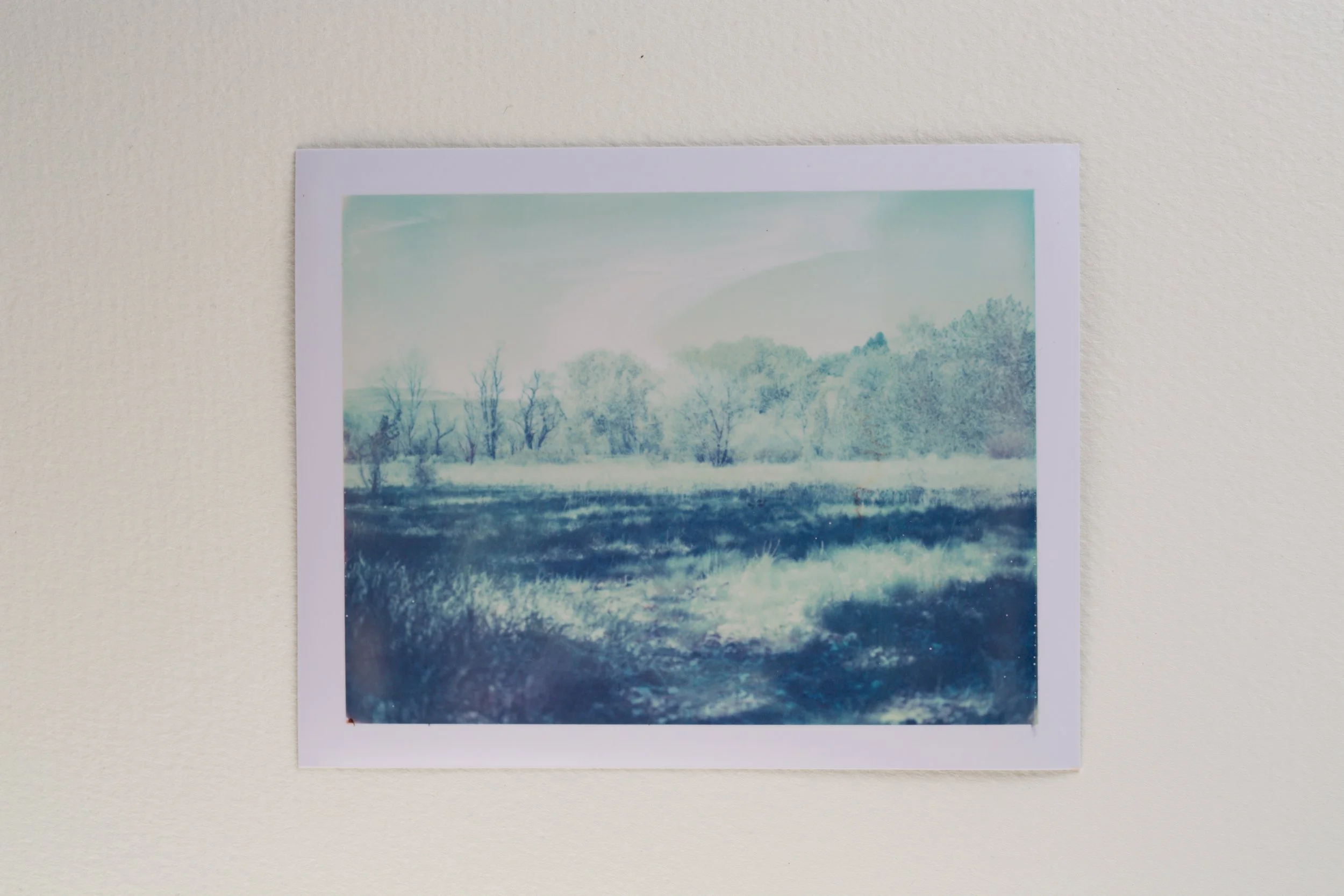 polaroid 600se - 669-570.jpg