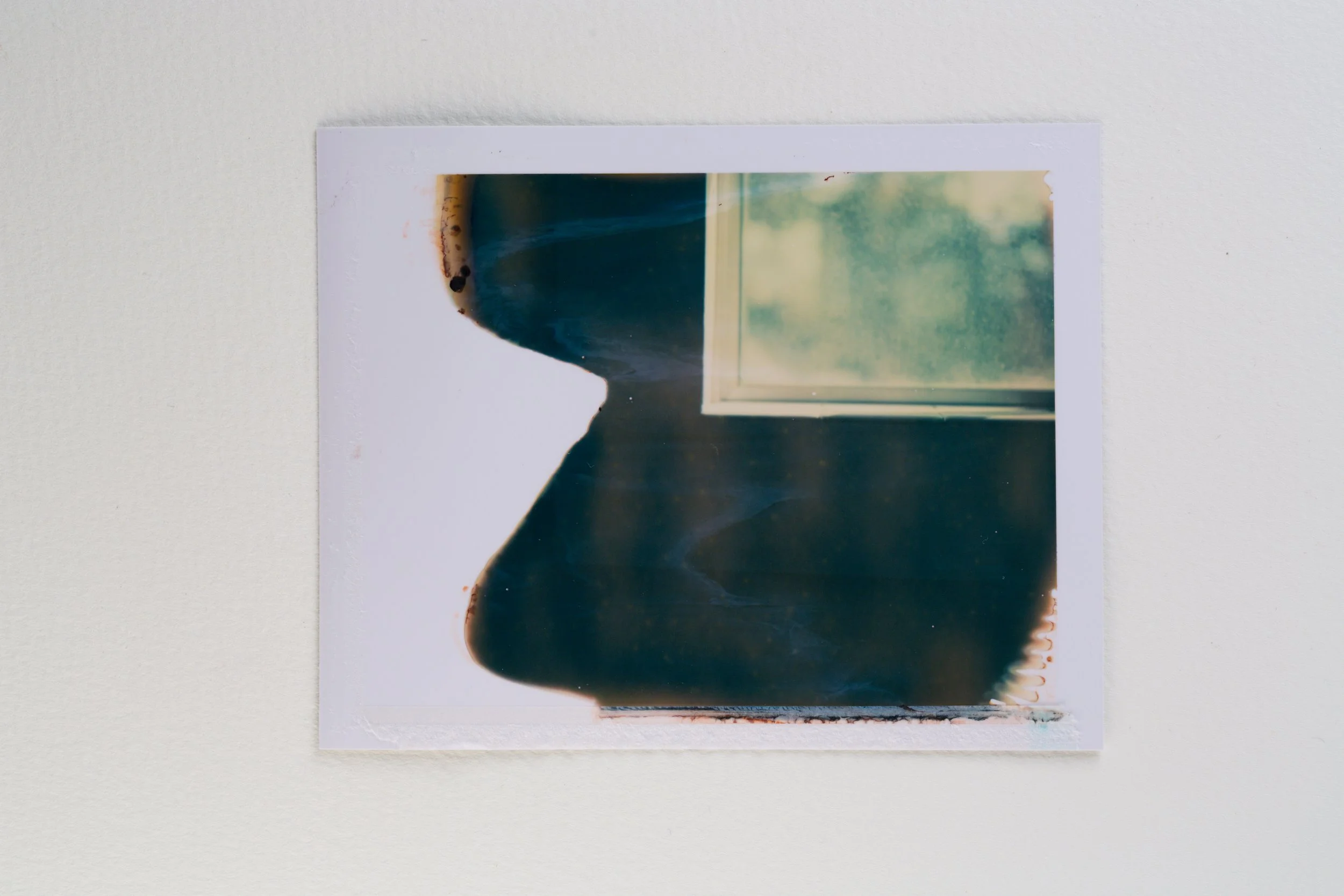 goose - 669-319-Edit.jpg