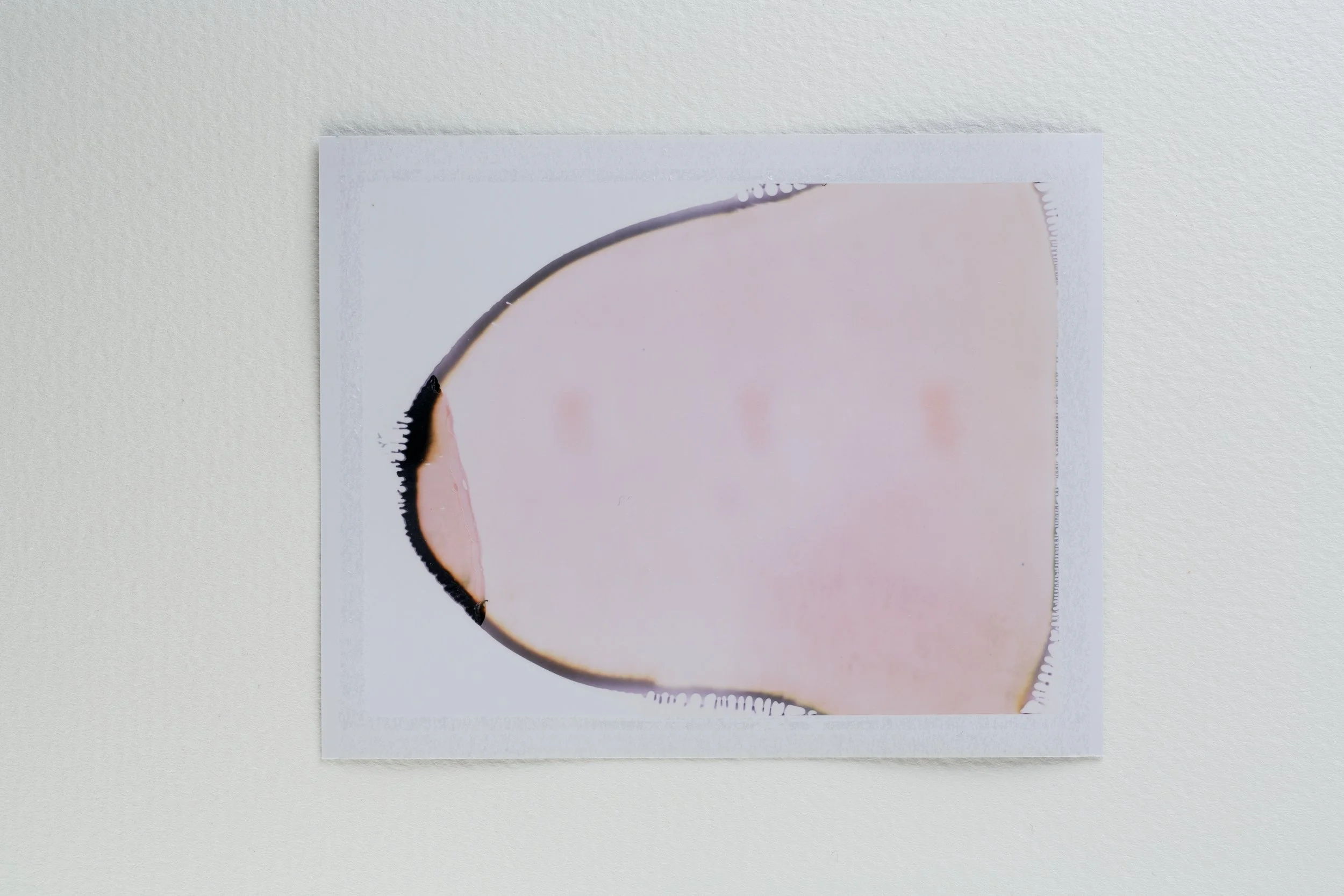 goose - fuji-003-Edit.jpg