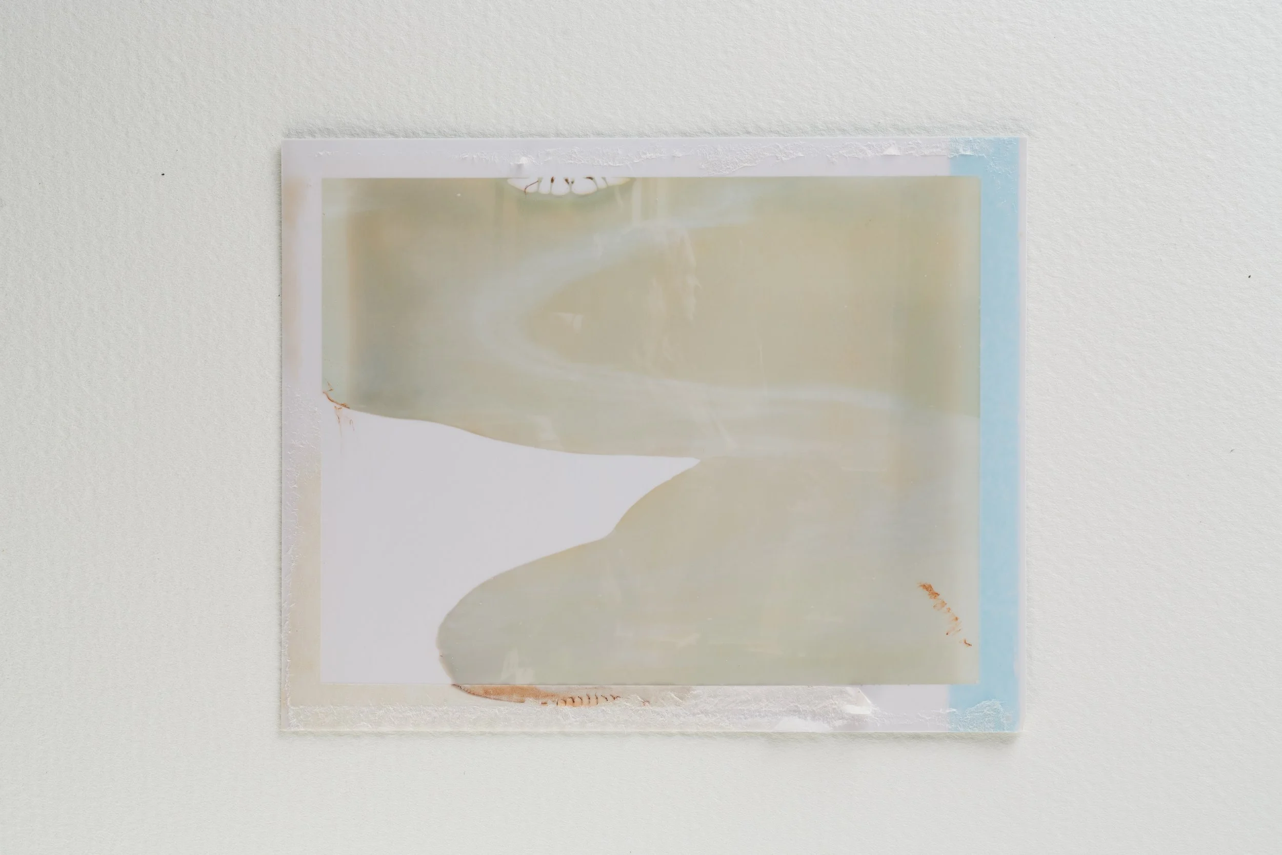 goose - last breath-012-Edit.jpg